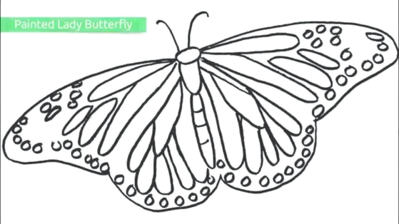 Cartoon Butterflies Coloring Pages Cartoon Butterfly Coloring Pages
