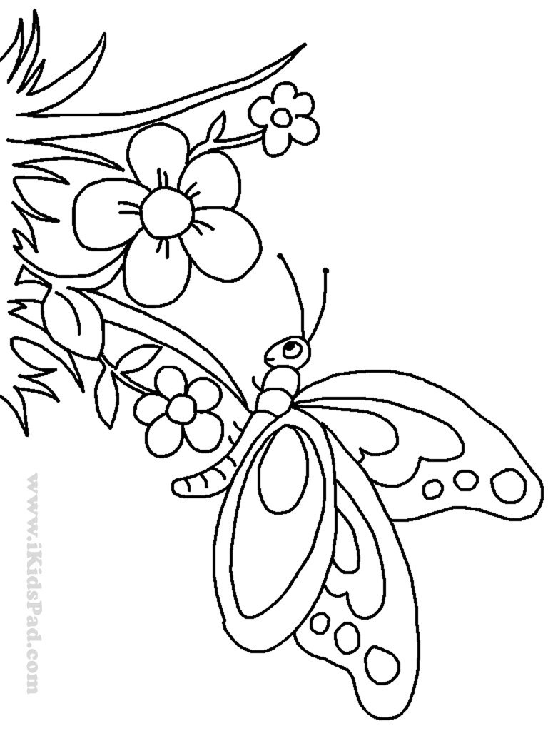 Cartoon Butterflies Coloring Pages Cartoon Flowers And Butterflies Coloring Pages