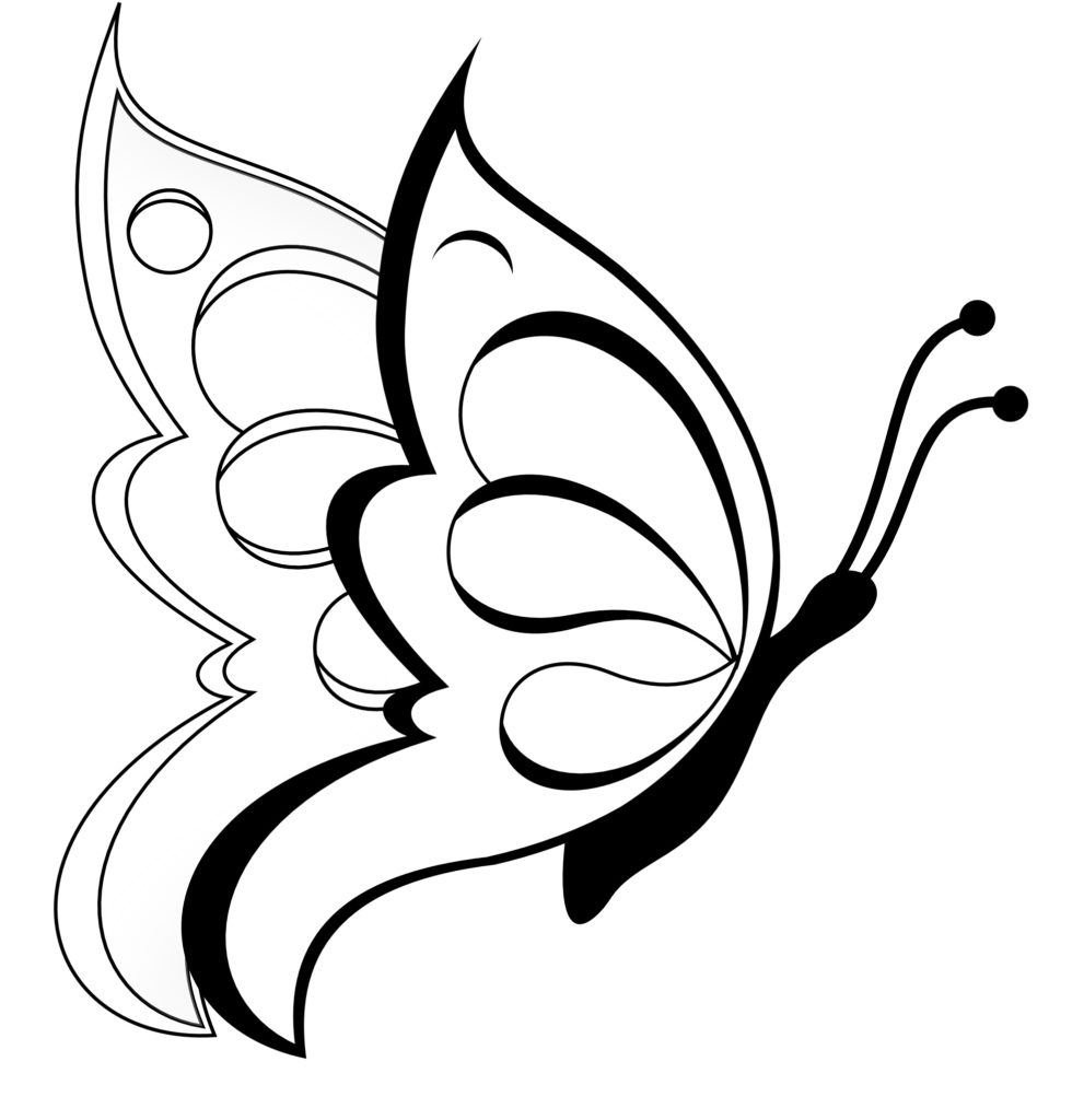 Cartoon Butterflies Coloring Pages Coloring Pages Coloring Pages Free Printable Flower For Adultsulip