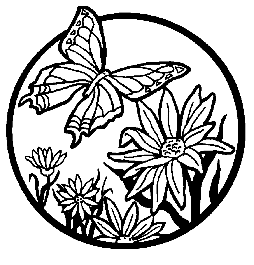 Cartoon Butterflies Coloring Pages Free Printable Butterfly Coloring Pages For Kids