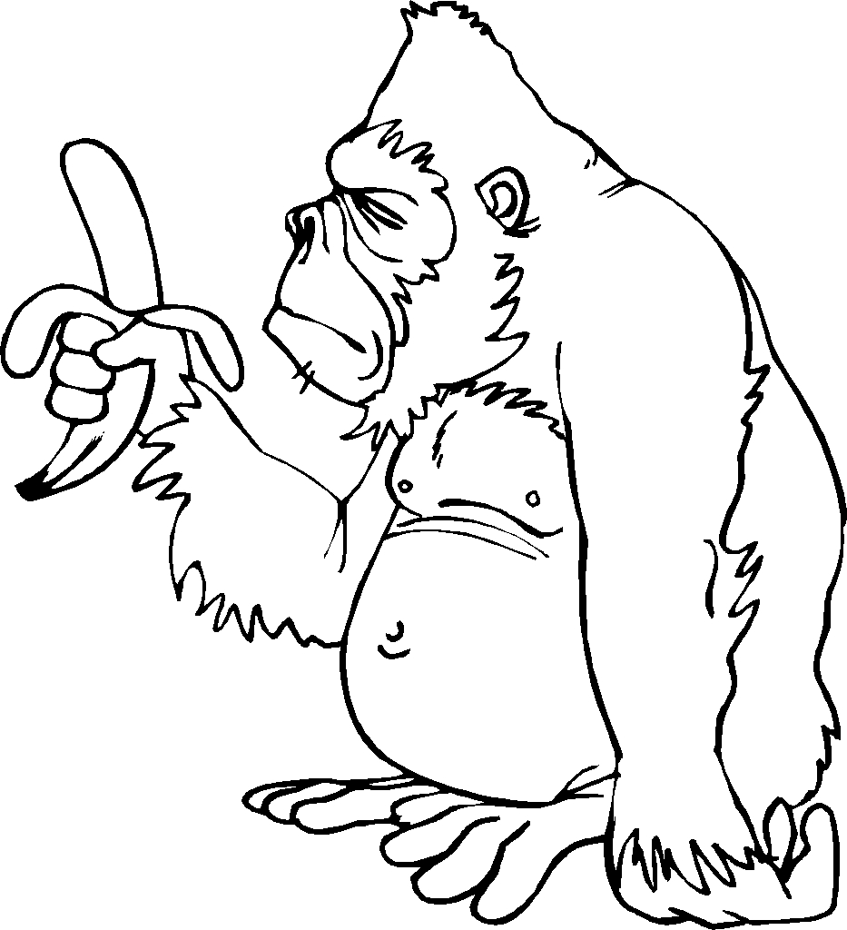 Chimpanzee Coloring Pages 3 Chimpanzee Coloring Page Free Printable Monkey Coloring Pages For
