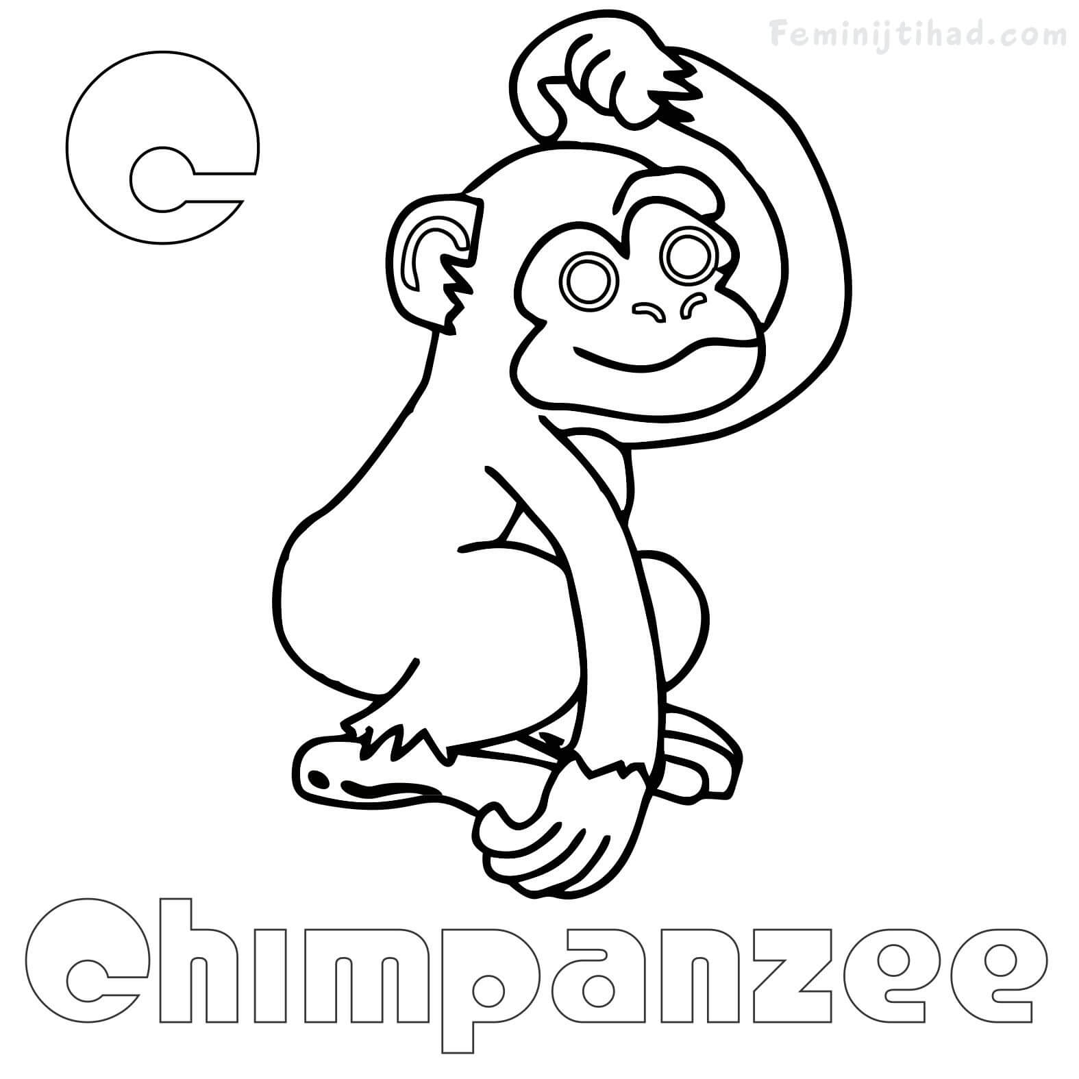 Chimpanzee Coloring Pages C For Chimpanzee Coloring Pages Free Coloring Sheets