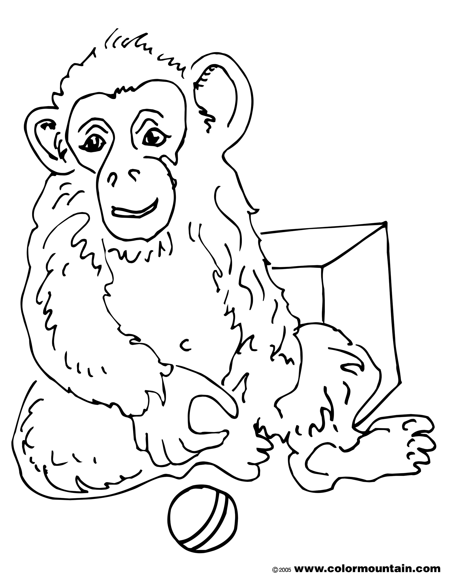 Chimpanzee Coloring Pages Chimpanzee Coloring Page Create A Printout Or Activity