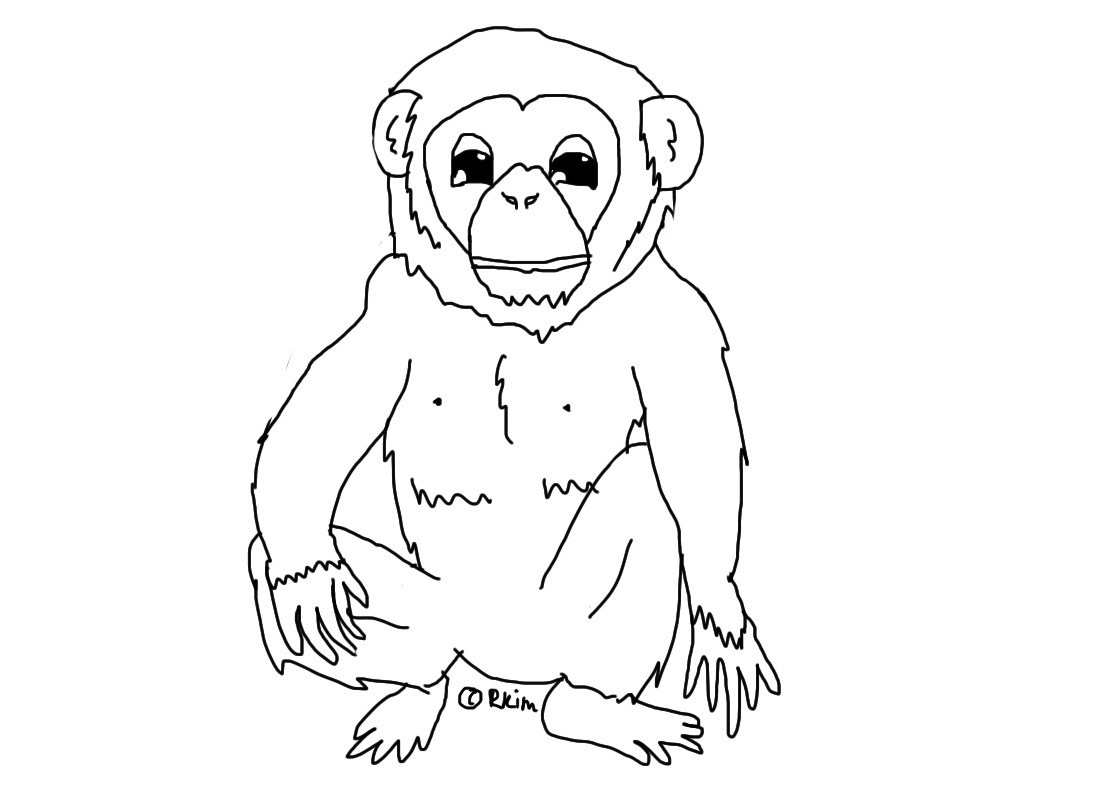 Chimpanzee Coloring Pages Chimpanzee Coloring Pages Chimpanzee Coloring Pages Free Coloring