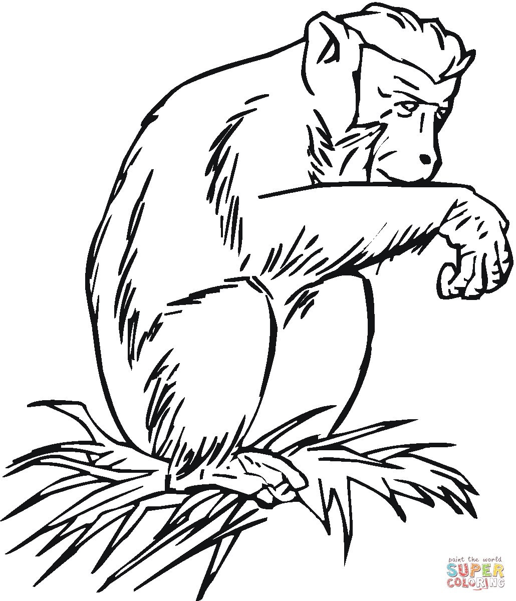 Chimpanzee Coloring Pages Chimpanzee Coloring Pages Free Coloring Pages