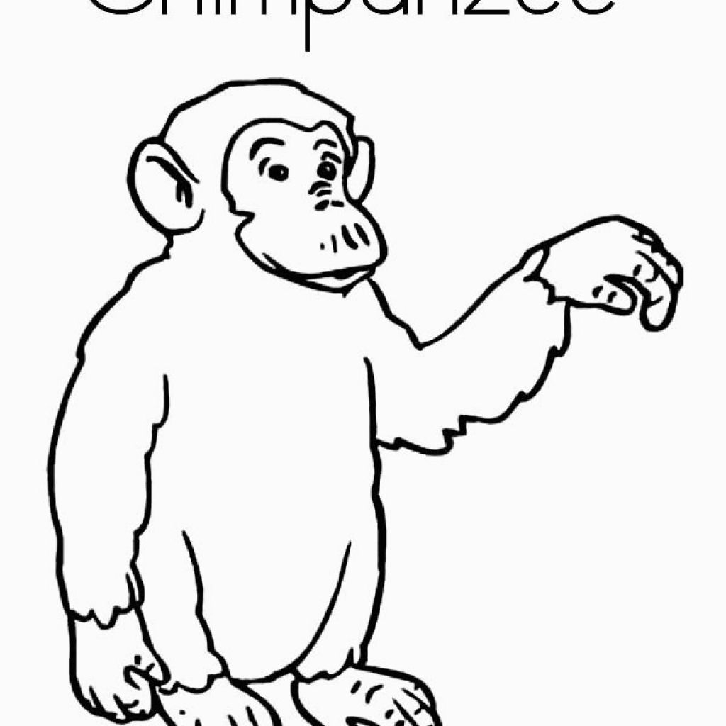 Chimpanzee Coloring Pages Chimpanzee Coloring Sheet Swinging Over Pages Grig3 For Chimpanzee