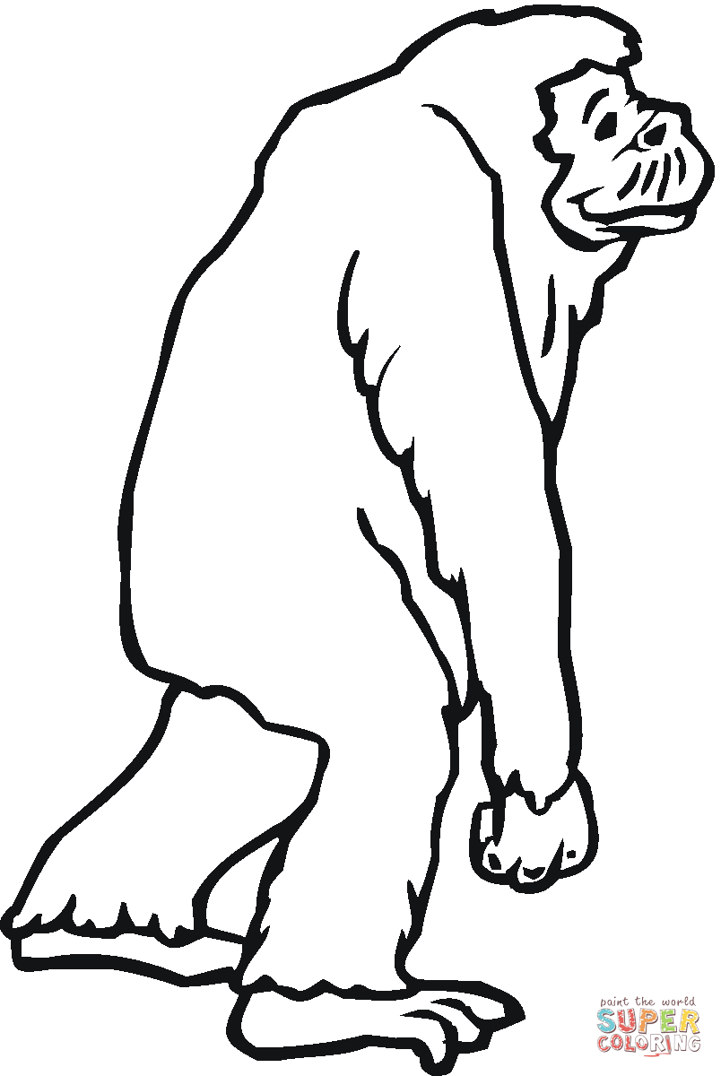 Chimpanzee Coloring Pages Chimpanzee Is Walking Away Coloring Page Free Printable Coloring Pages