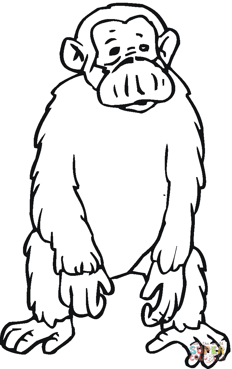 Chimpanzee Coloring Pages Sad Chimpanzee Coloring Page Free Printable Coloring Pages