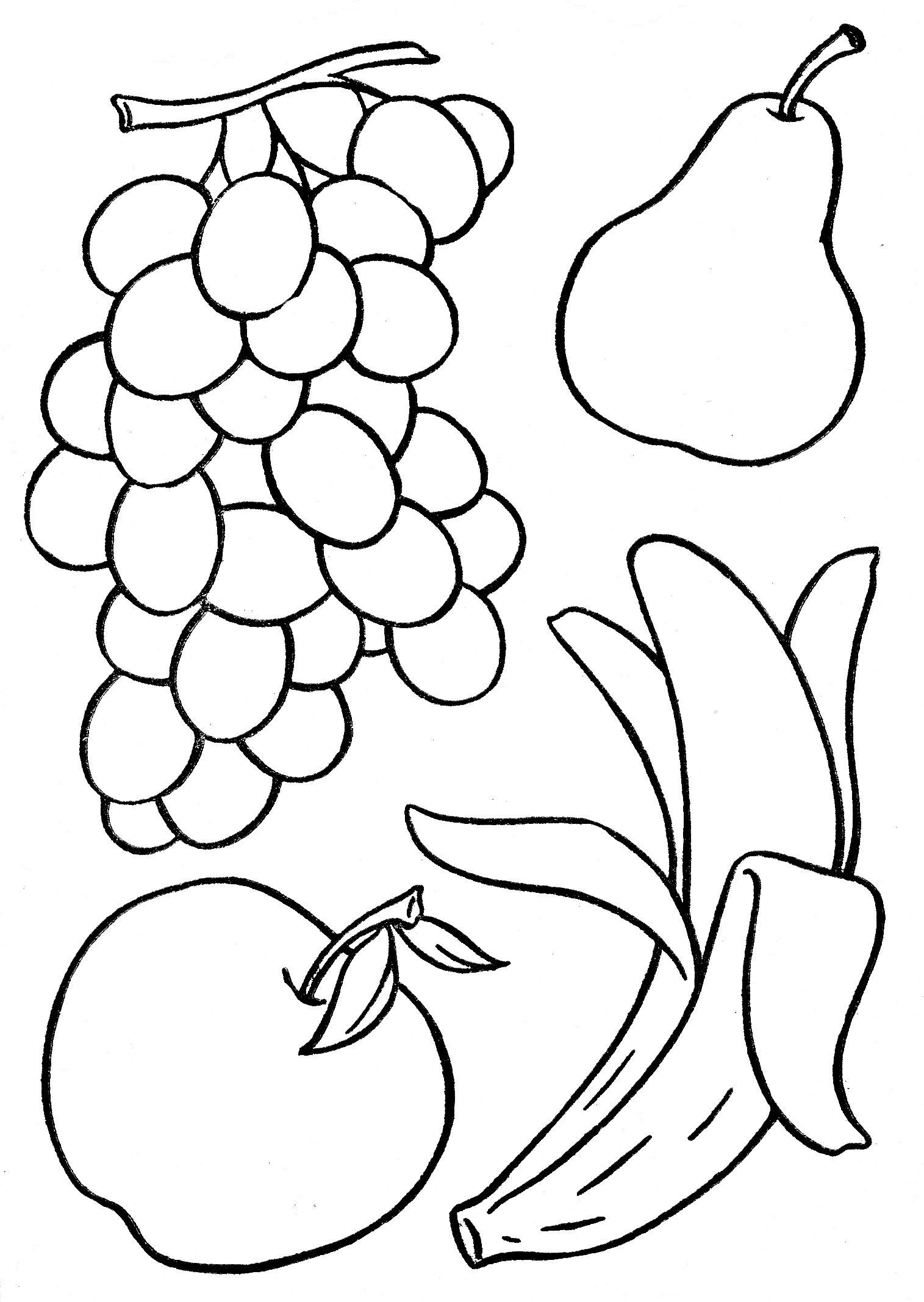 Color Orange Coloring Pages Nice Fruit Pictures To Color Album Archive Bible School Coloring