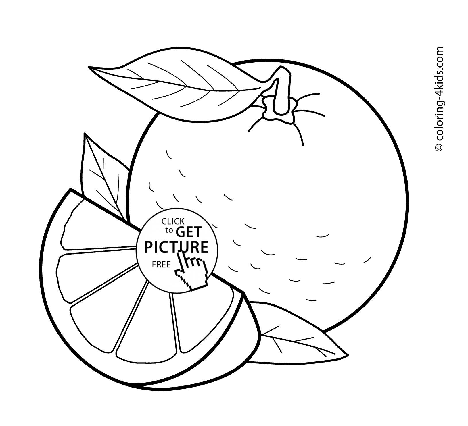 Color Orange Coloring Pages Orange Fruits Coloring Pages For Kids Printable Free Coloing