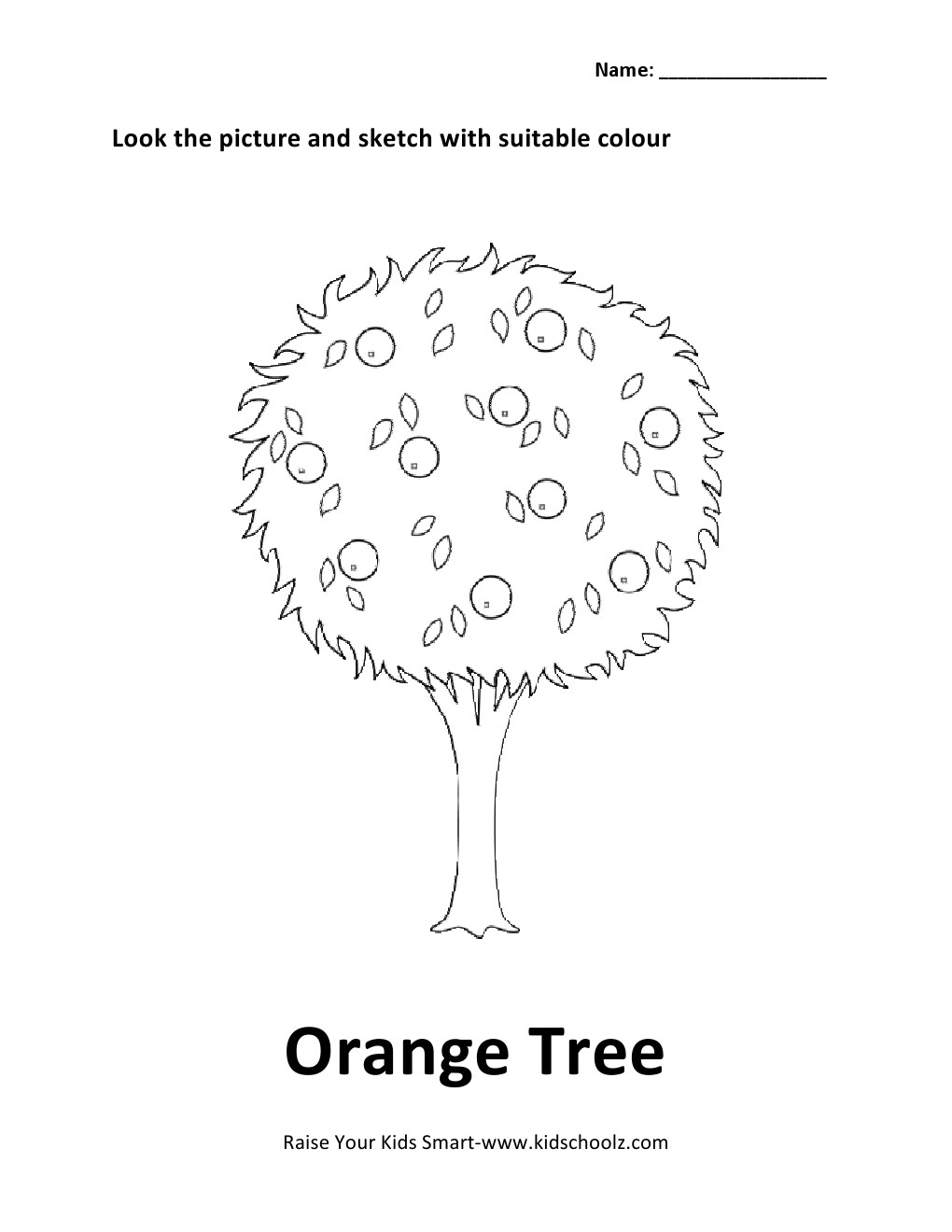 Color Orange Coloring Pages Orange Tree Coloring Pages
