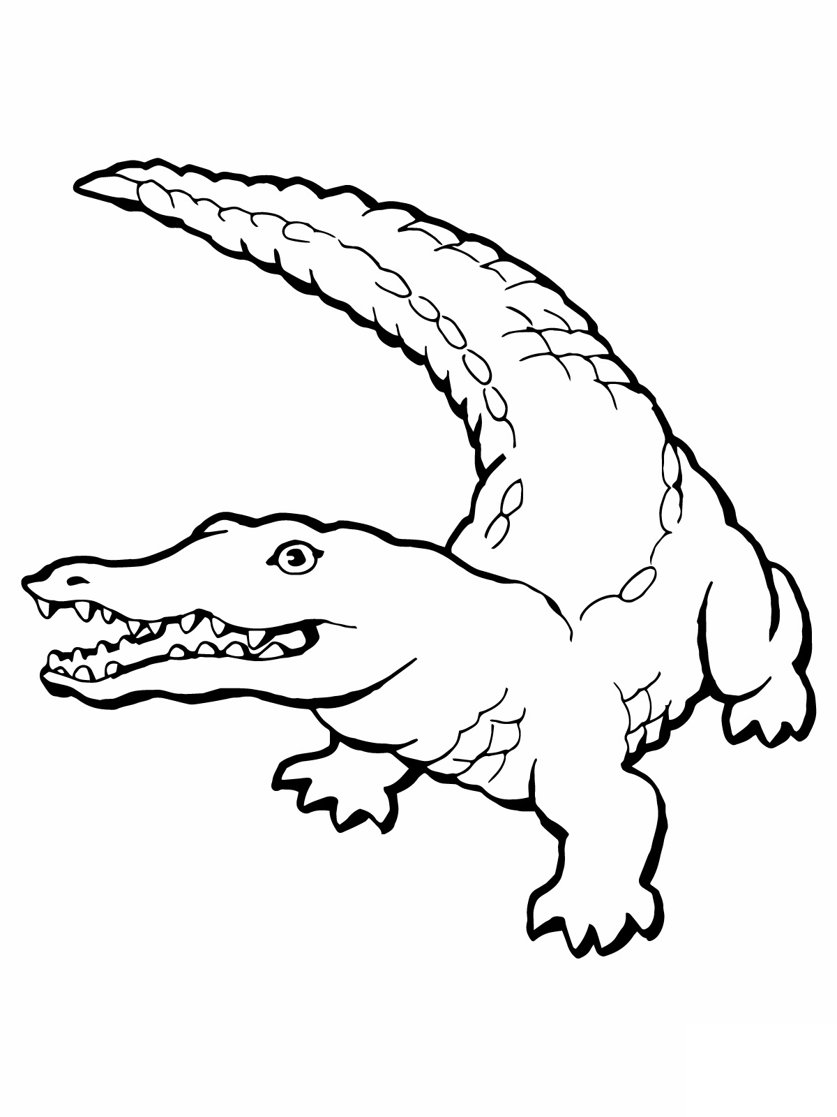 Coloring Page Alligator Alligator Clipart Coloring Page Jpg Clipartpost