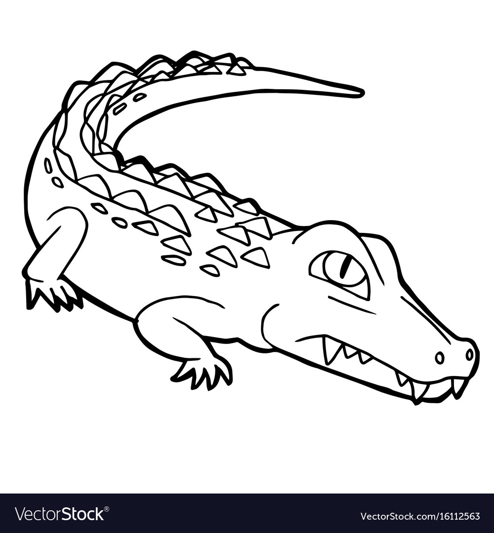 Coloring Page Alligator Cartoon Cute Crocodile Coloring Page