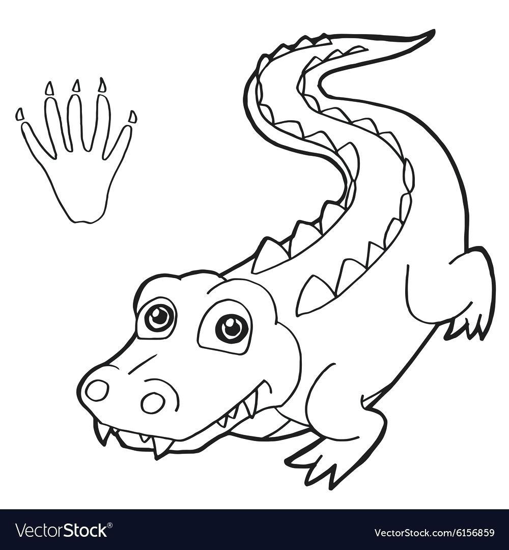 Coloring Page Alligator Crocodile Coloring Pages To Print Fiestaprintco