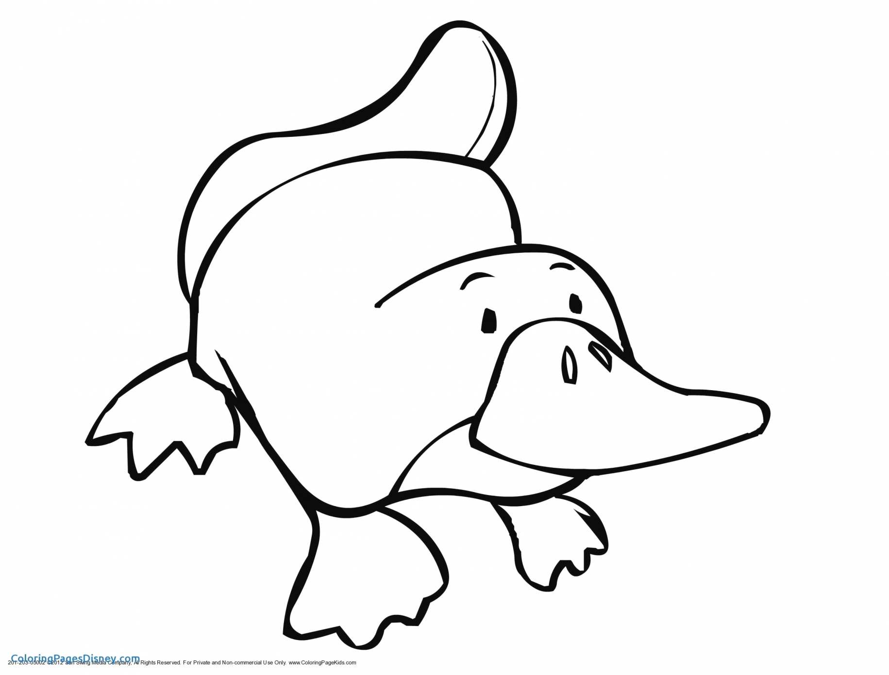 Coloring Page Duck Daisy Duck Coloring Pages Idees Fluch Page 99 Expertmosdveri Wiki