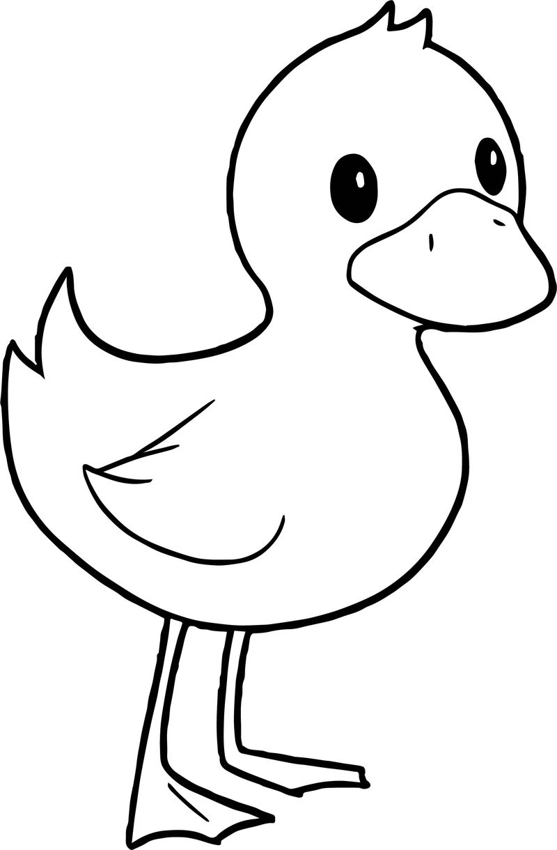 Coloring Page Duck Duck Standing Coloring Page Printable Coloring Pages For Kids
