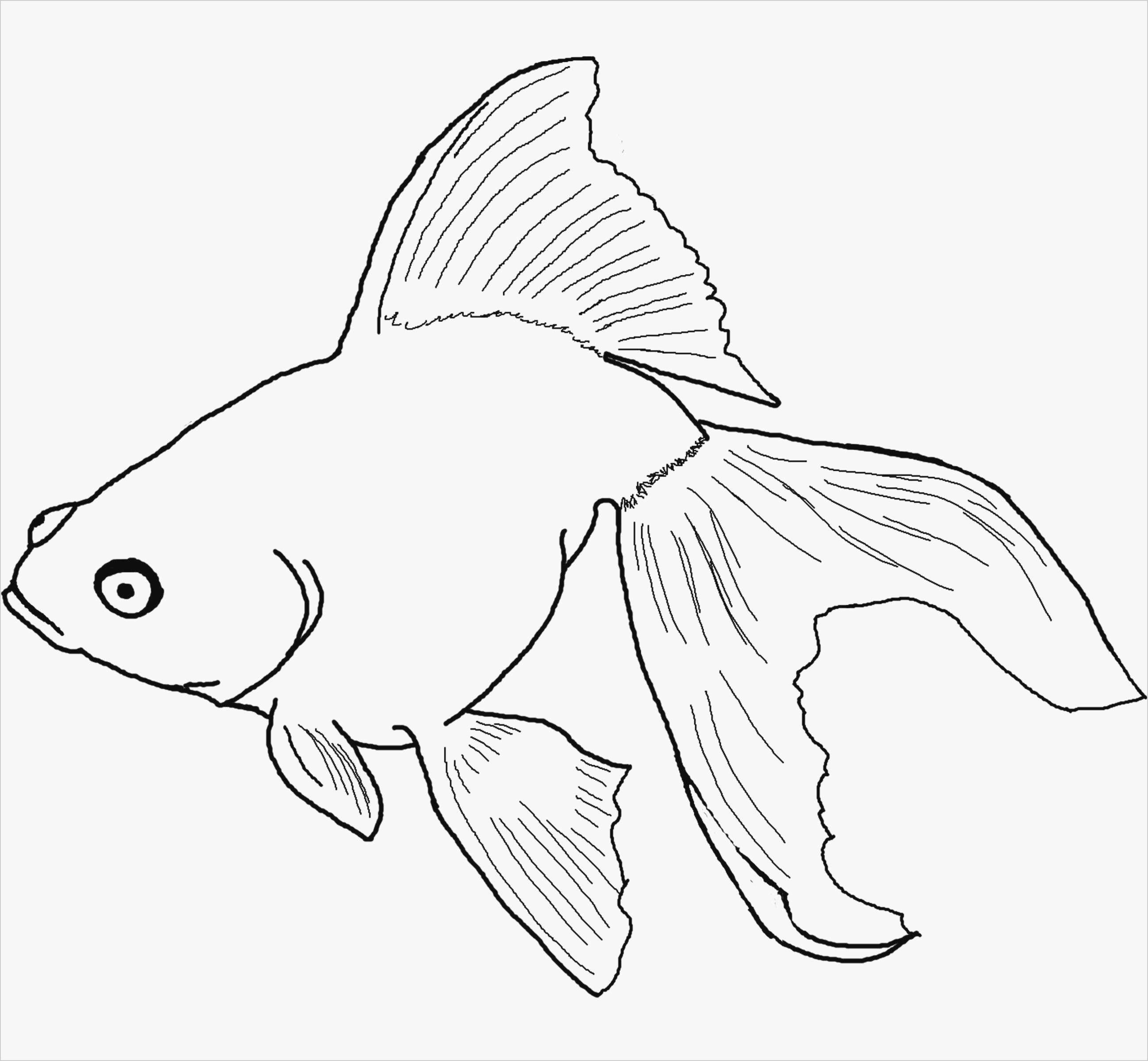 Coloring Pages Fishing 61 Elegant Jesus Fishing Boat Coloring Page Brainstormchi