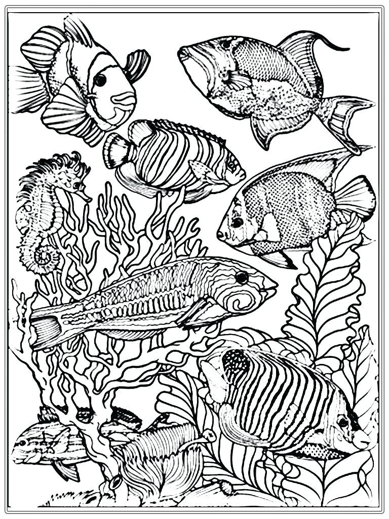 Coloring Pages Fishing Fish Coloring Picture Printable Tulippaperco