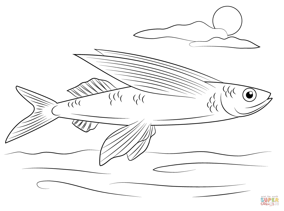 Coloring Pages Fishing Flying Fish Coloring Page Free Printable Coloring Pages