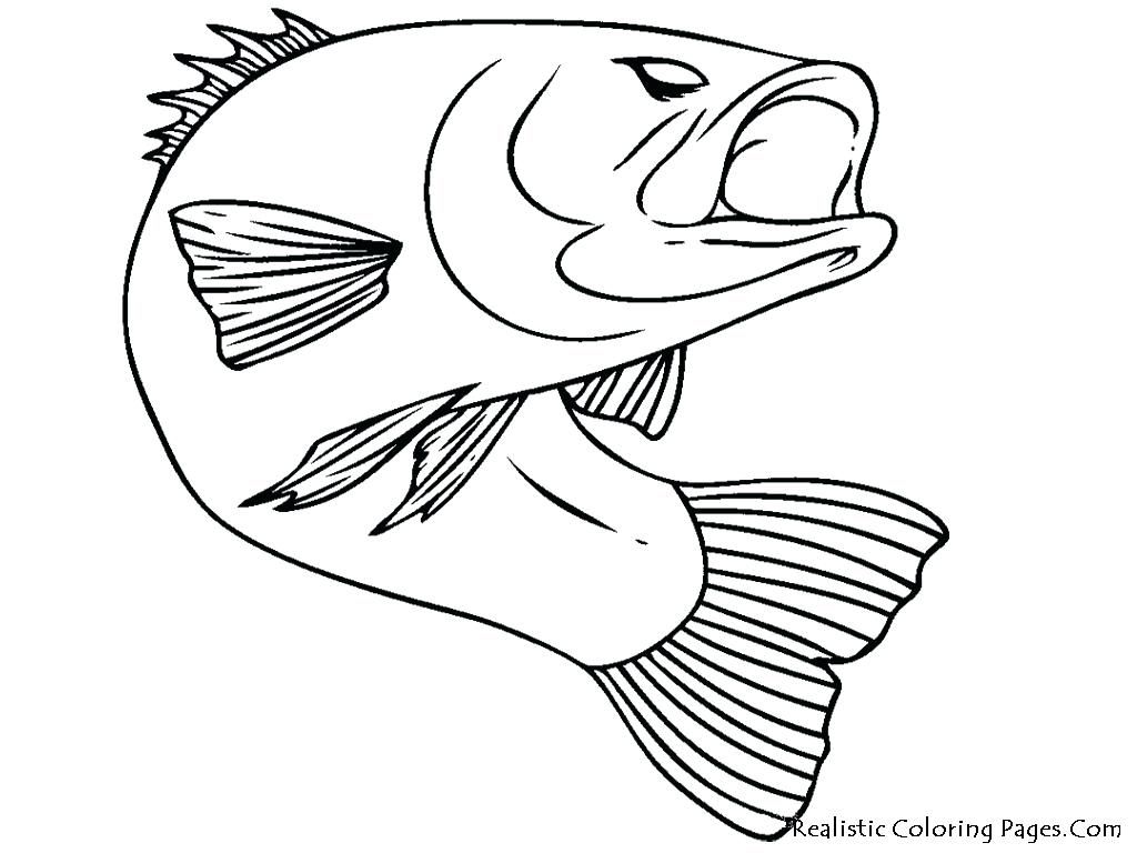 Coloring Pages Fishing Ocean Fish Coloring Sheets Redhatsheetco