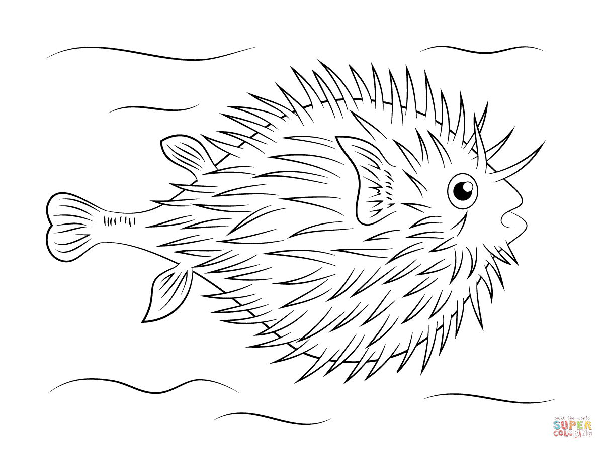 Coloring Pages Fishing Puffer Fish Coloring Page Free Printable Coloring Pages