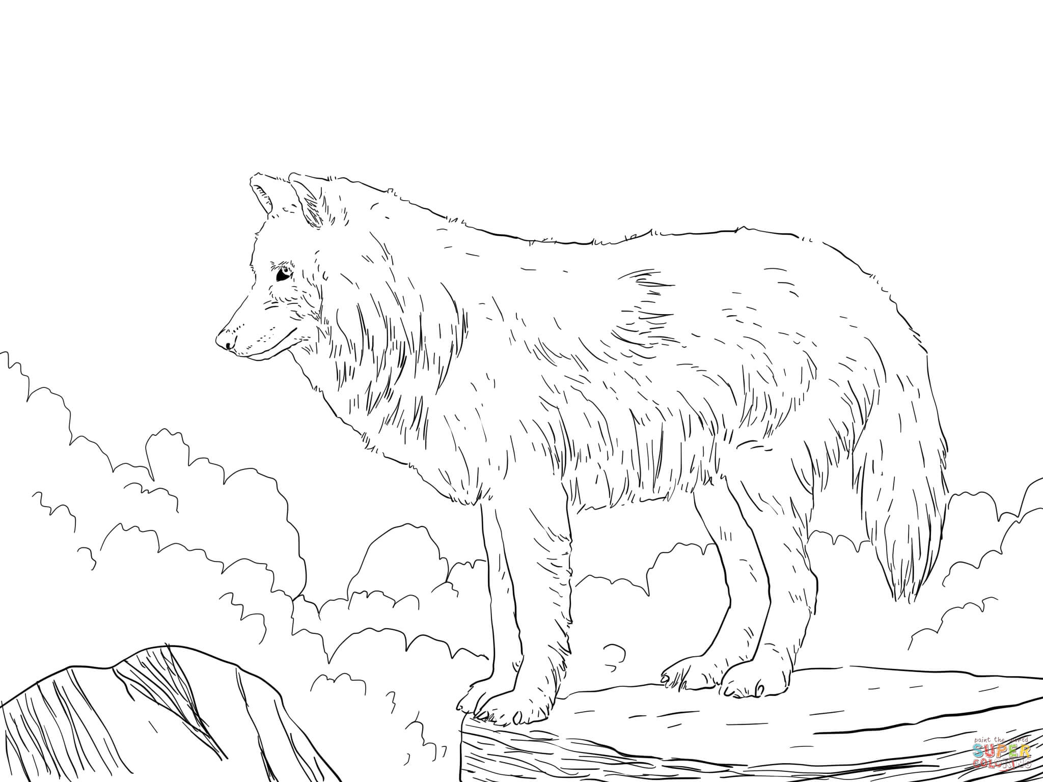 Coloring Pages Of A Wolf Arctic Snow Wolf Coloring Page Free Printable Coloring Pages