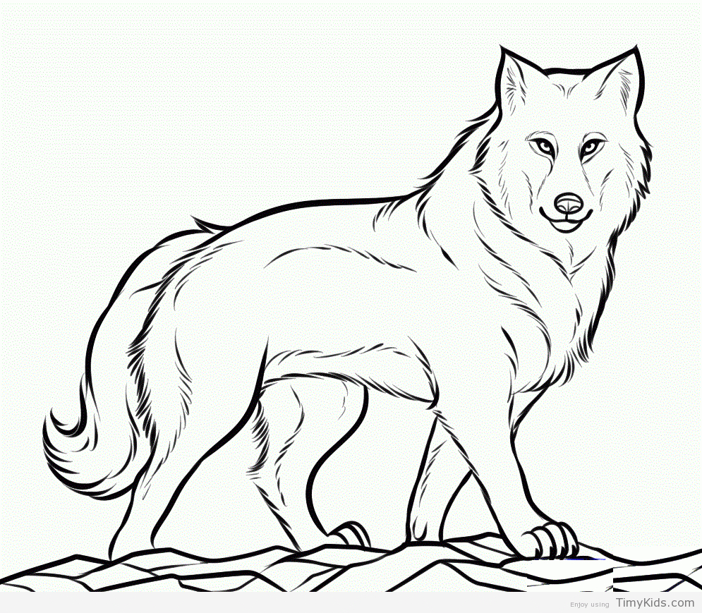 Coloring Pages Of A Wolf Coloring Ideas Wolf Coloring Pictures Image Ideas Cooloring Book