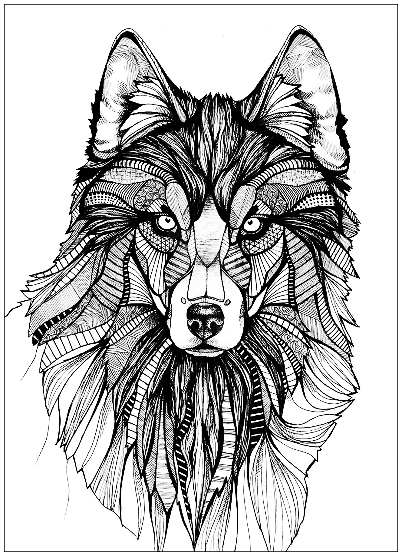 Coloring Pages Of A Wolf Wolf 3 Wolves Adult Coloring Pages