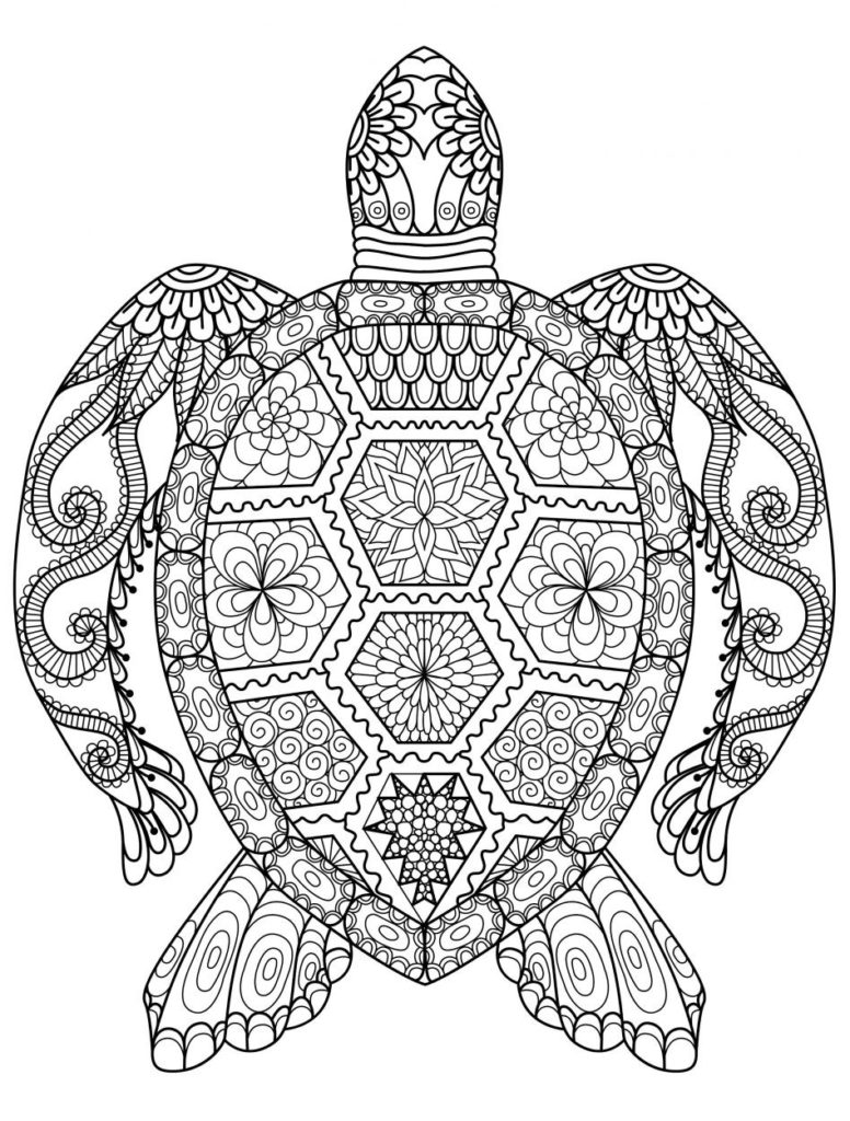 Coloring Pages Of Animals Hard Coloring Coloring Hard Sheets Photo Ideas Cute Pages At