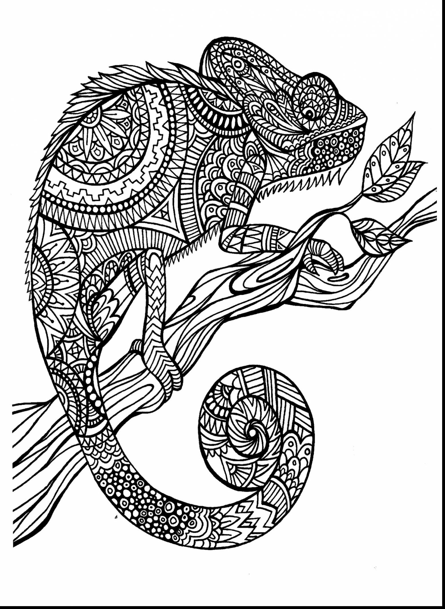 Coloring Pages Of Animals Hard Coloring Ideas 42 Coloring Pages Hard Animals Picture Ideas