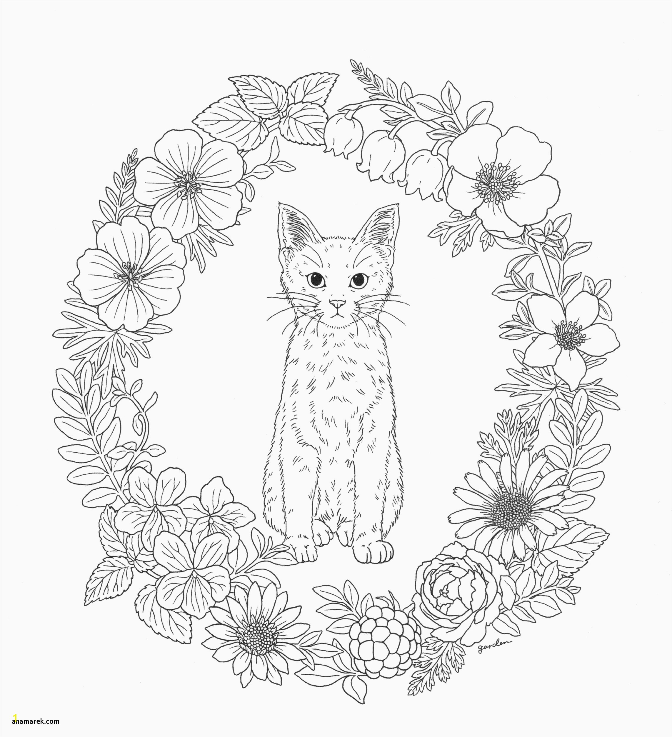 Coloring Pages Of Animals Hard Coloring Pages 55 Marvelous Coloring Pages Hard Animals Free