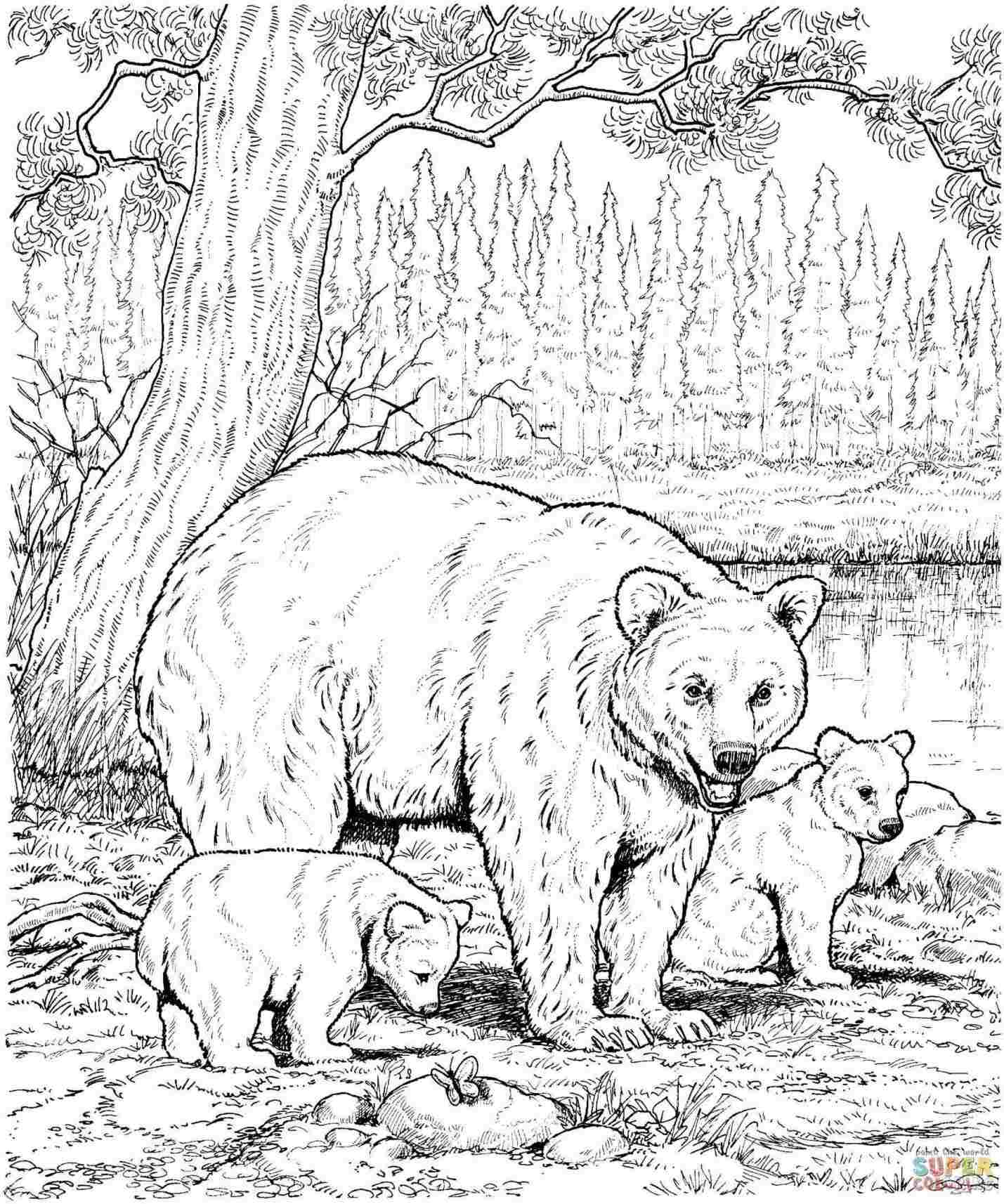 Coloring Pages Of Animals Hard Look Google Search It Rhpinterestcom U Jessica