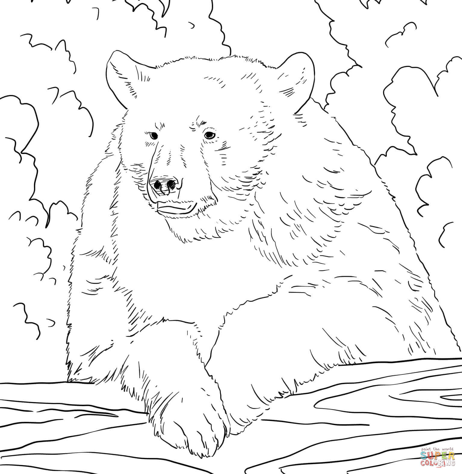 Coloring Pages Of Black Bears American Black Bear Portrait Coloring Page Free Printable Coloring
