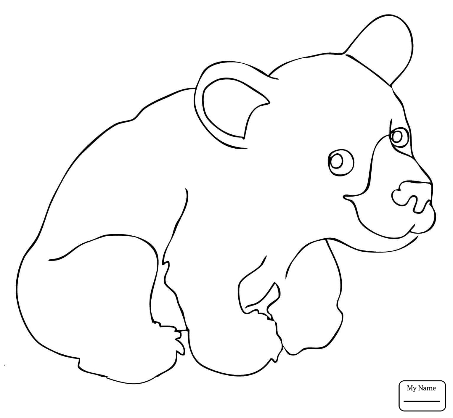 Coloring Pages Of Black Bears Coloring Pages Black Bear At Getdrawings Free For Personal Use