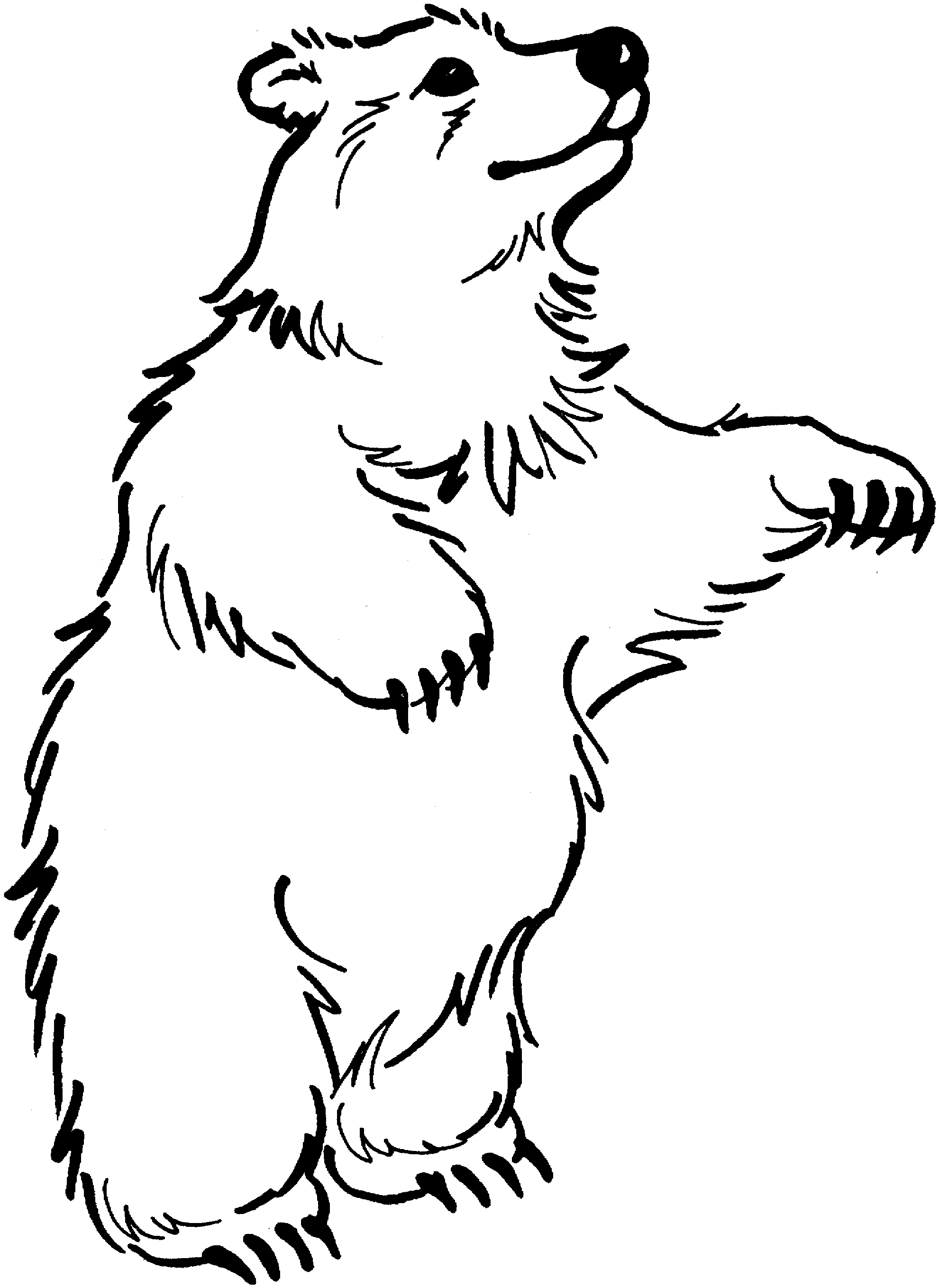Coloring Pages Of Black Bears Free Bear Coloring Pages