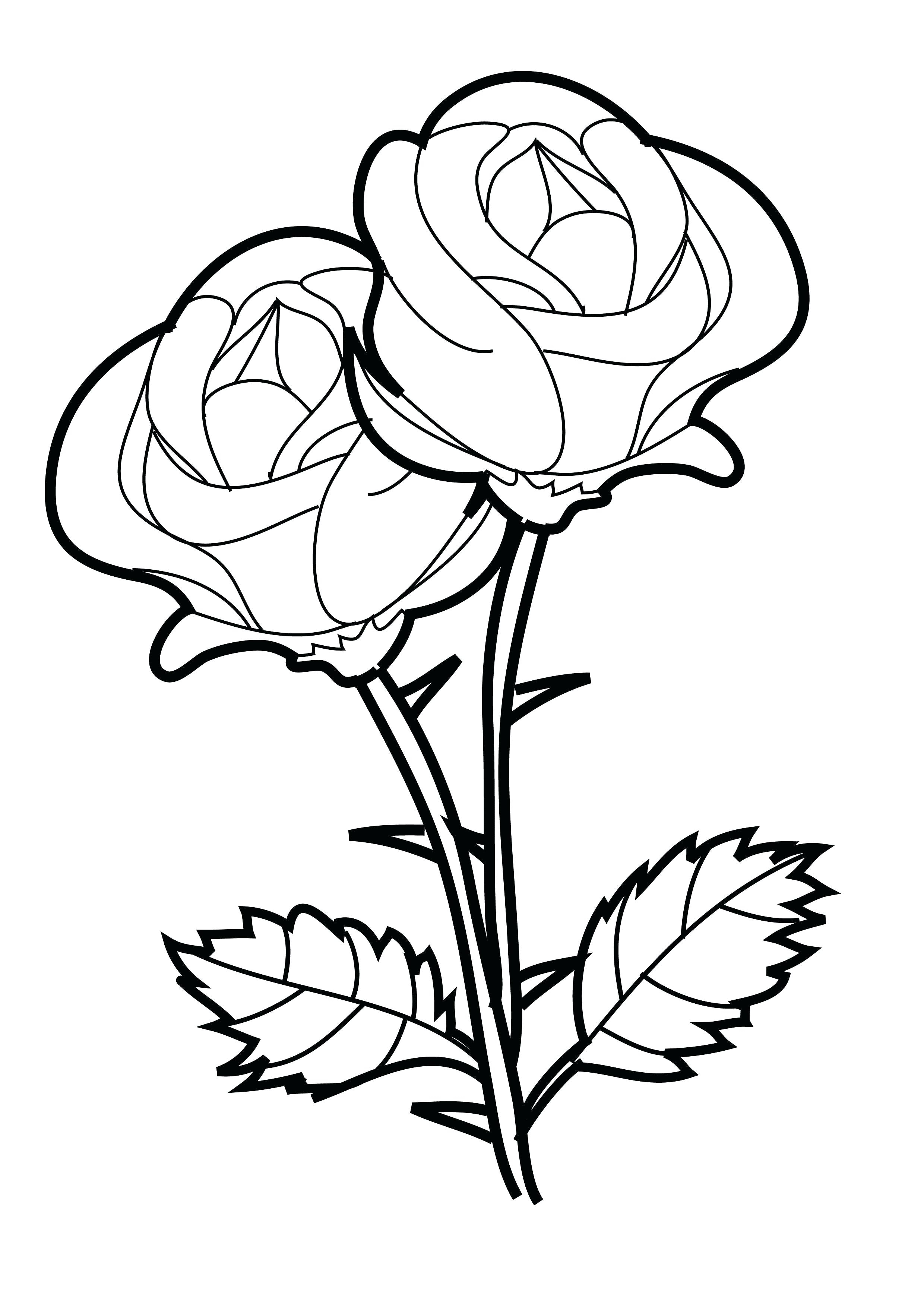Coloring Pages Of Crosses With Flowers Coloring Picture Of A Flower Shoppageco