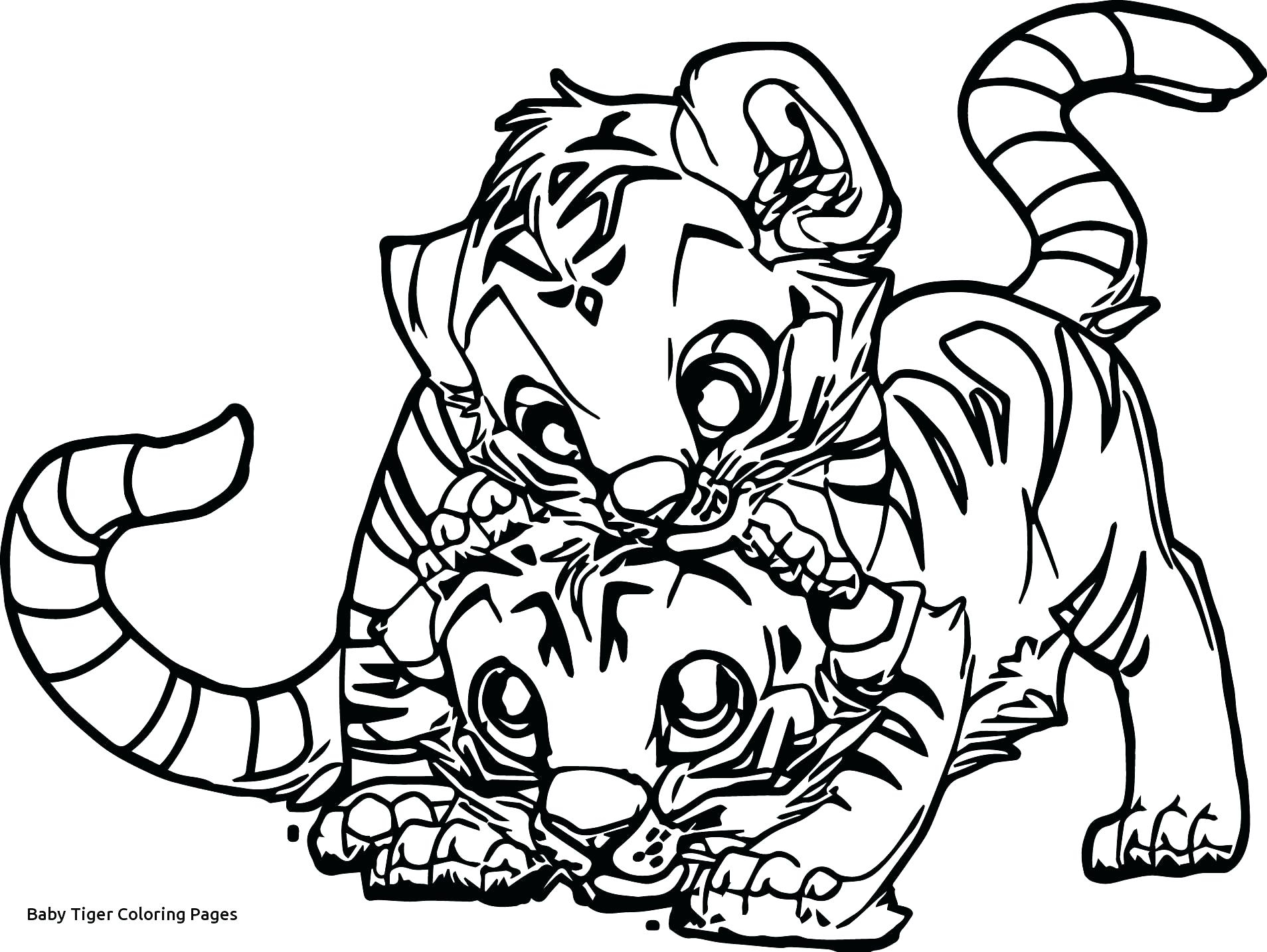 Coloring Pages Of Cute Tigers 10 Awesome Coloring Pages Of Cute Ba Tigers Compare 2 Save