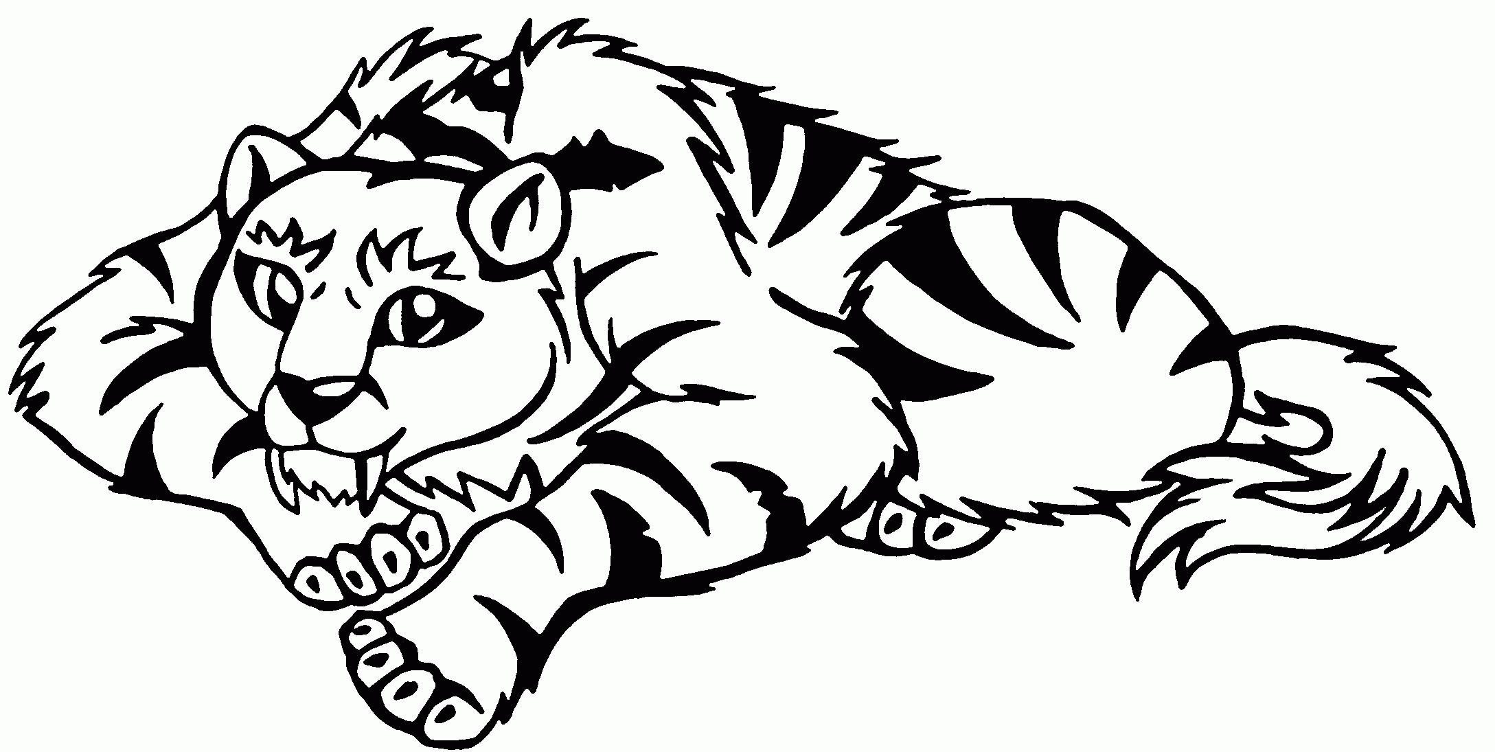 Coloring Pages Of Cute Tigers Coloring Ideas Ncbggr6ai Saber Tooth Tiger Coloring Page Ideas