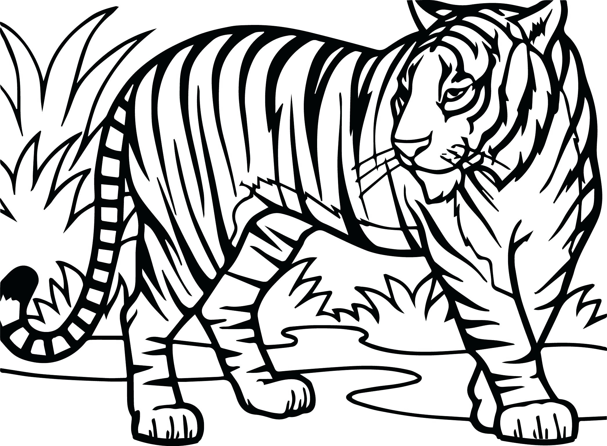 Coloring Pages Of Cute Tigers Free Tiger Cub Coloring Pages Brotherprintco