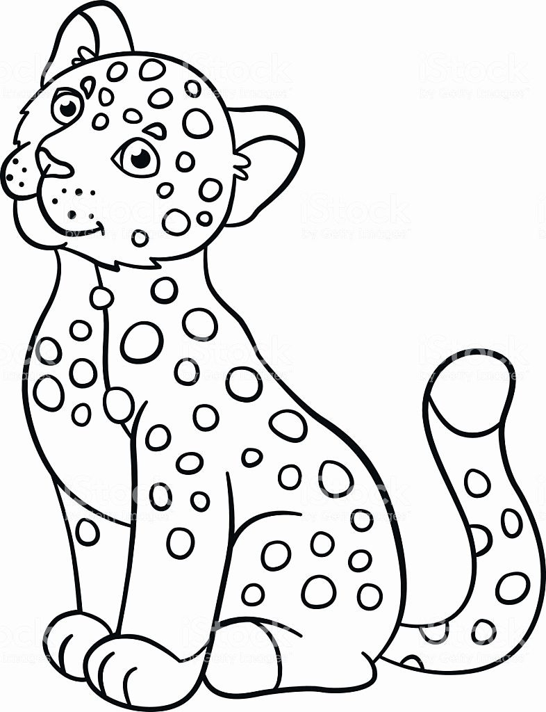 Coloring Pages Of J Images Of J Is For Jaguar Coloring Page Sabadaphnecottage