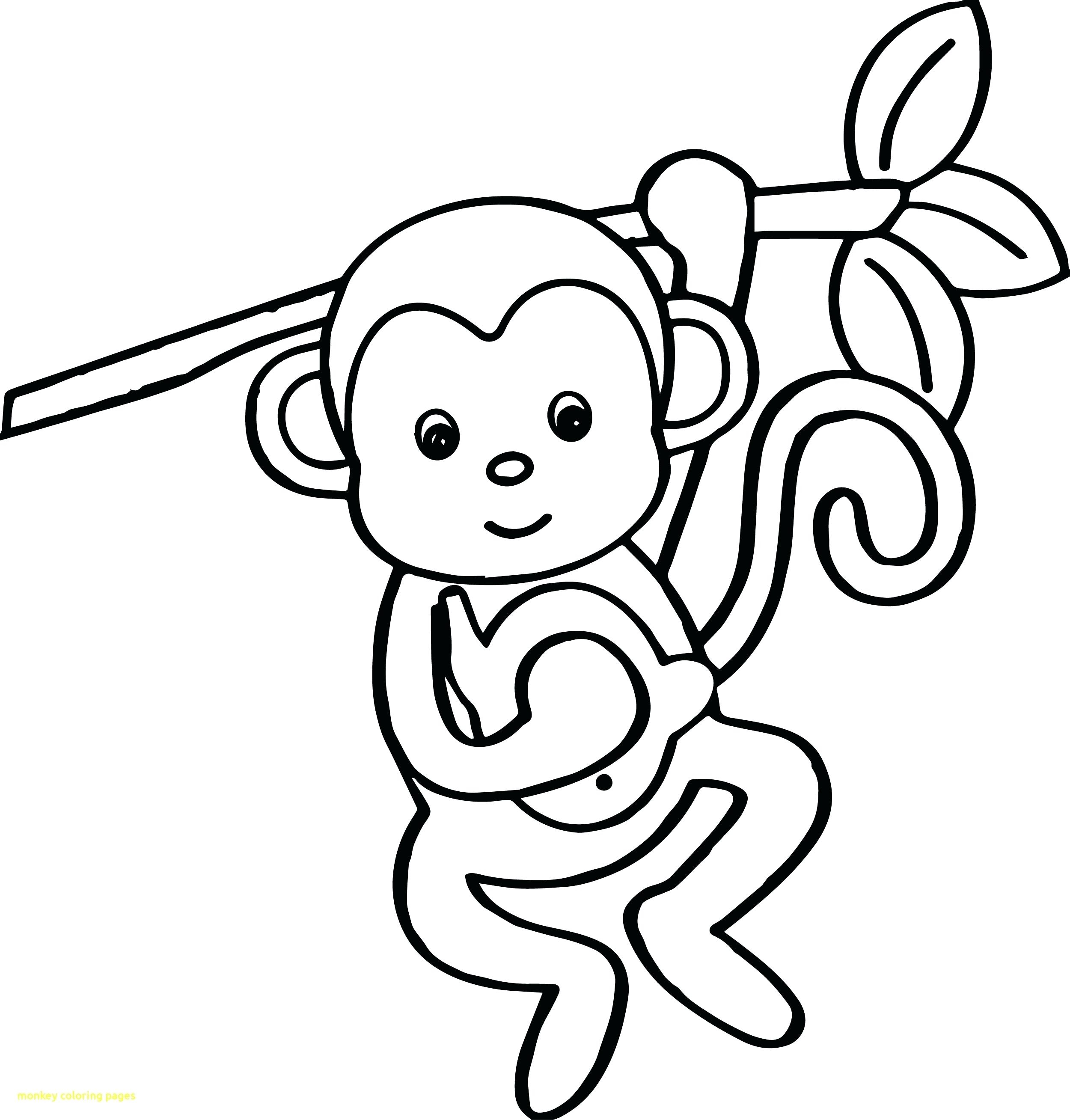Coloring Pages Of Monkeys Printable Sock Monkey Coloring Pages Codeadventuresco