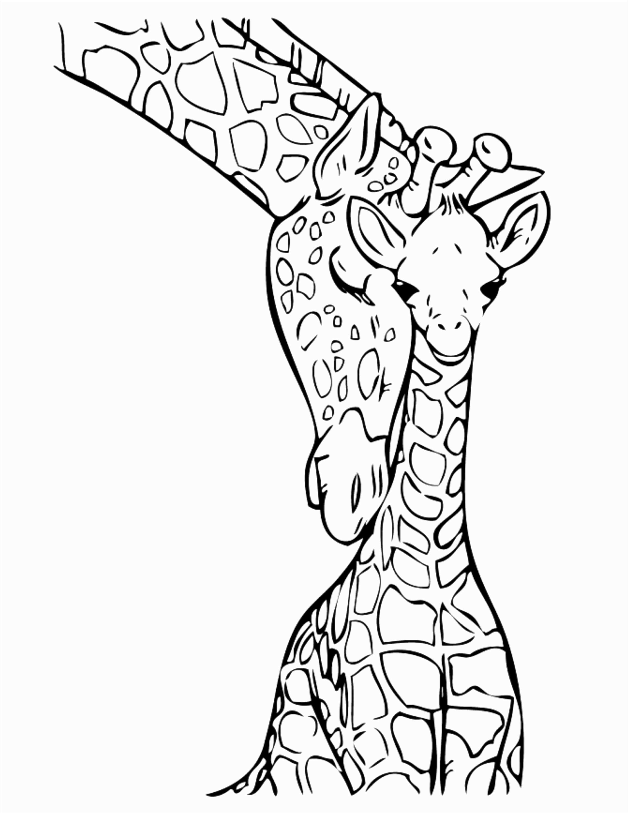 Coloring Pages Of Stuffed Animals Images Of Coloring Pages Of Stuffed Animals Sabadaphnecottage