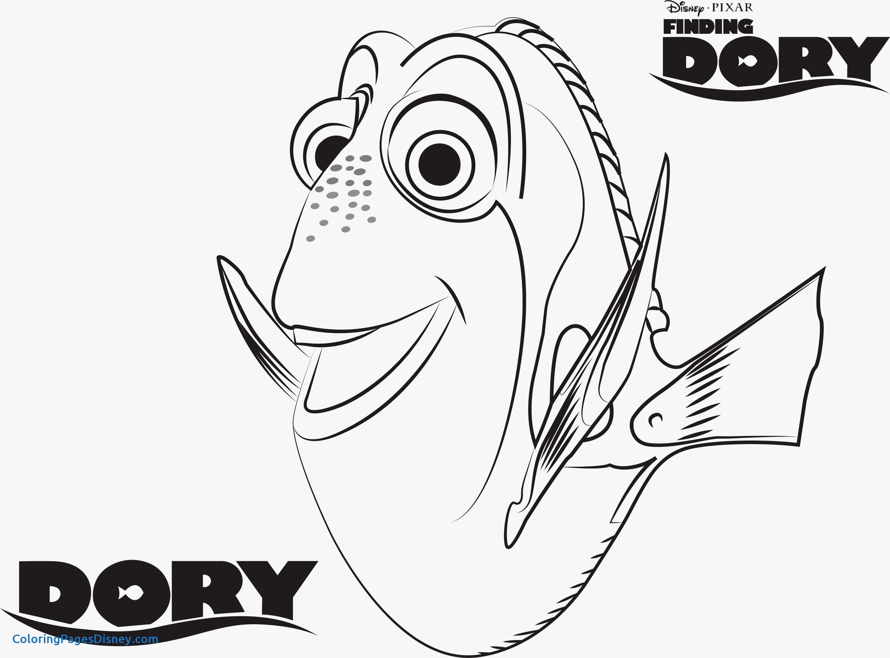 Coloring Pages On Pinterest Coloring Ideas Finding Nemo Coloring Pages Beautiful Best