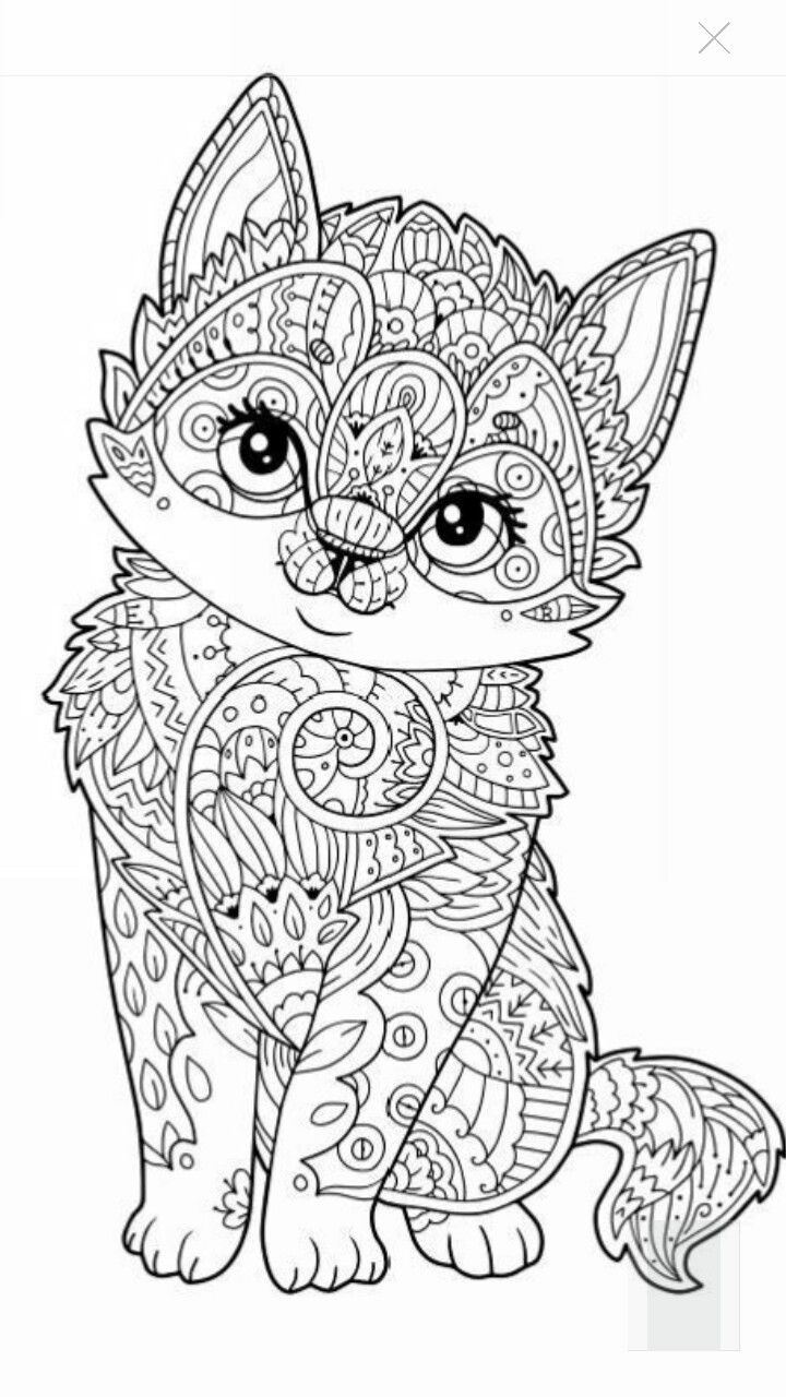 Coloring Pages On Pinterest Coloring Page Cute Coloring Pages For Adults Amazing Page Kitten
