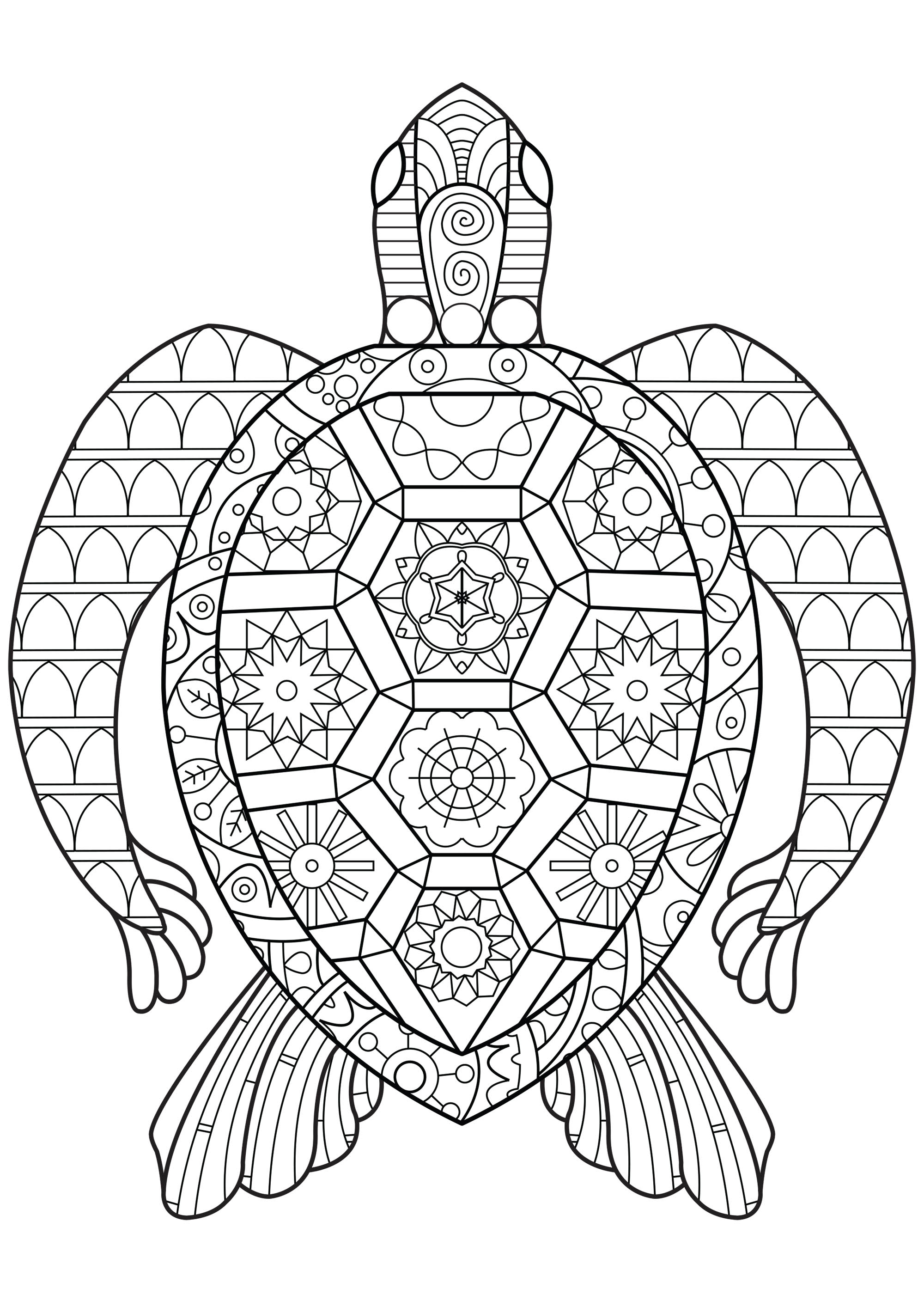 Coloring Pages Zen Zen Turtle Turtles Adult Coloring Pages