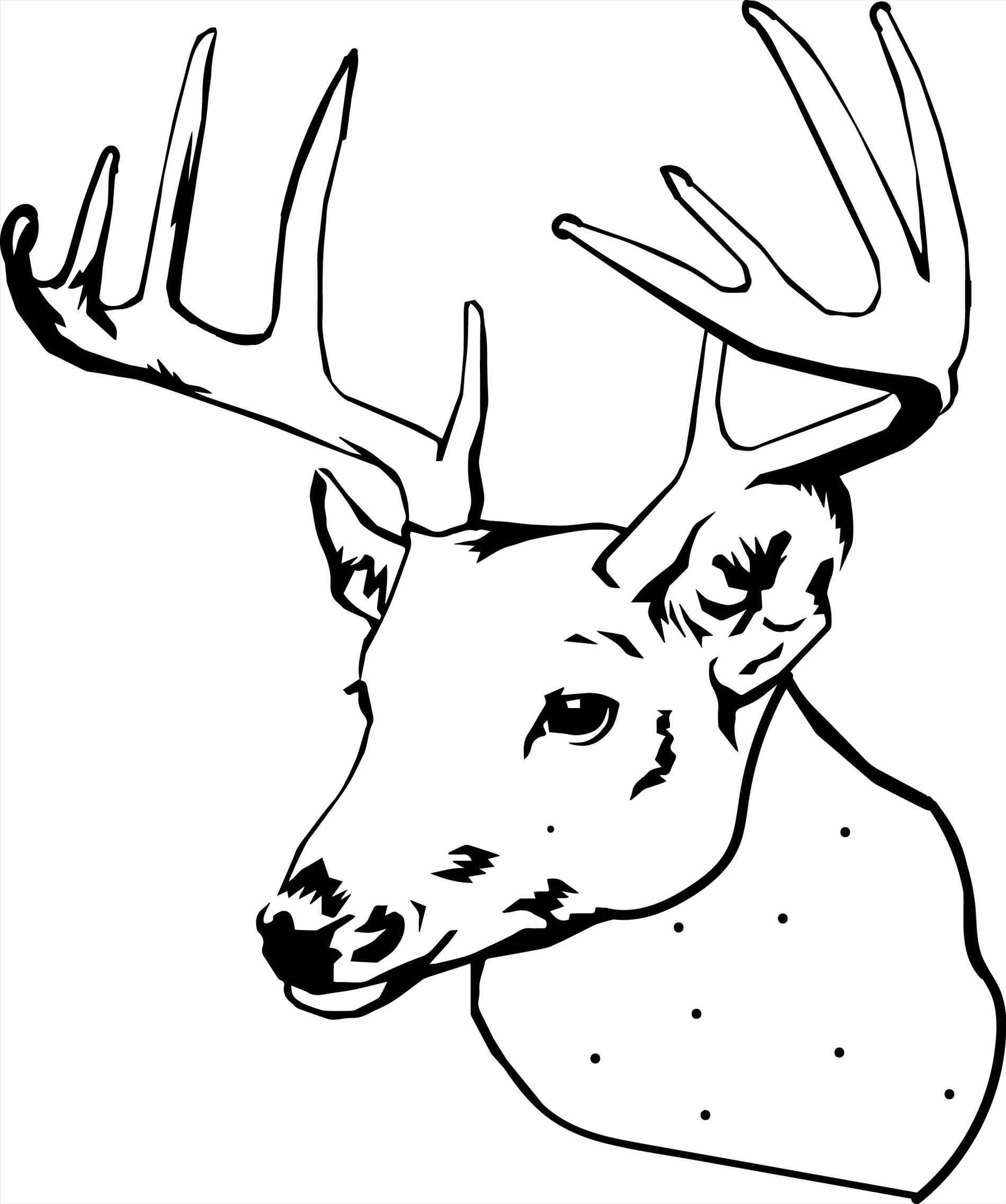 Deer Coloring Pages Coloring Design Deer Coloring Pages Free Download Best On