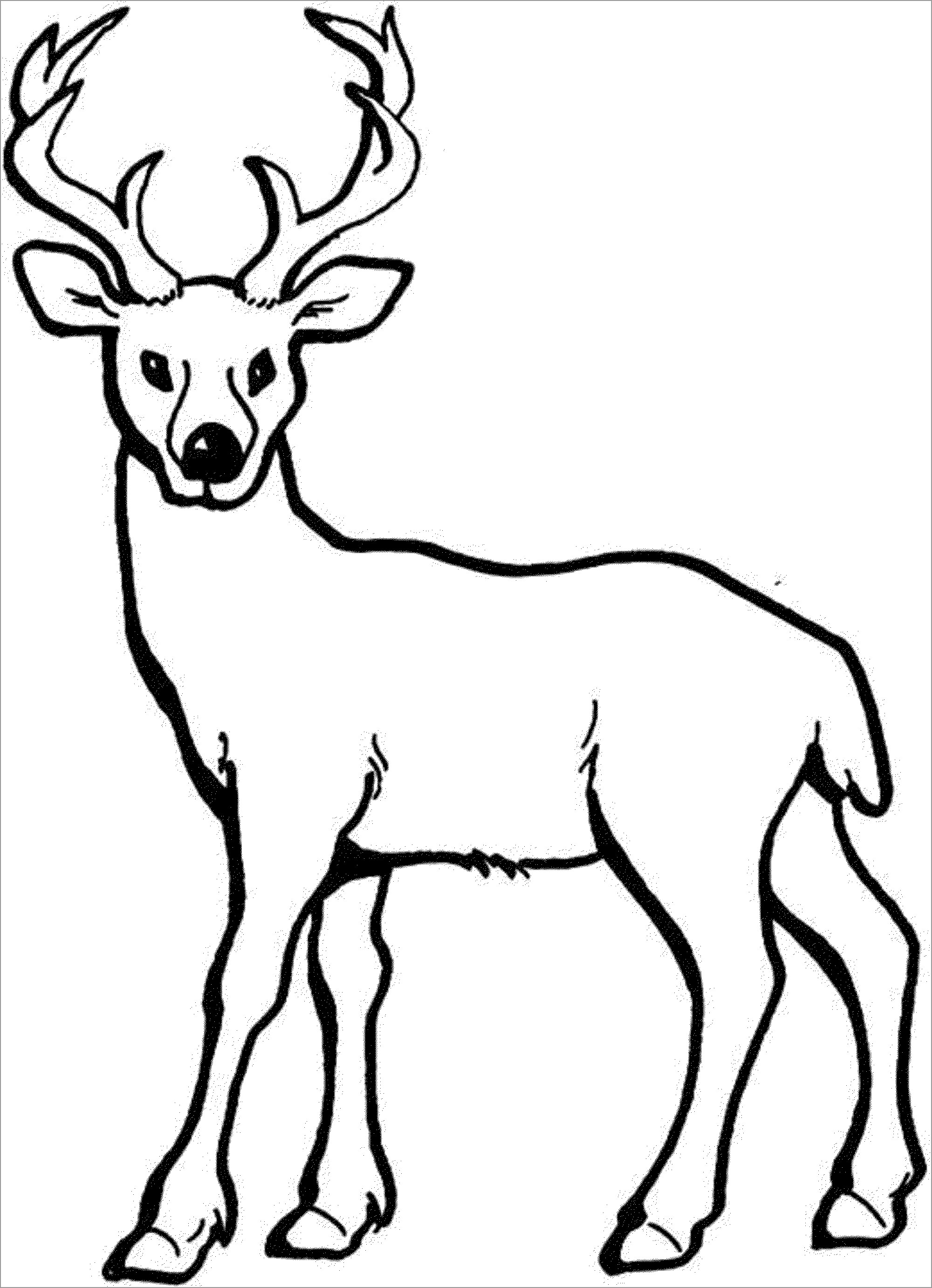 Deer Coloring Pages Deer Coloring Pages Coloringbay