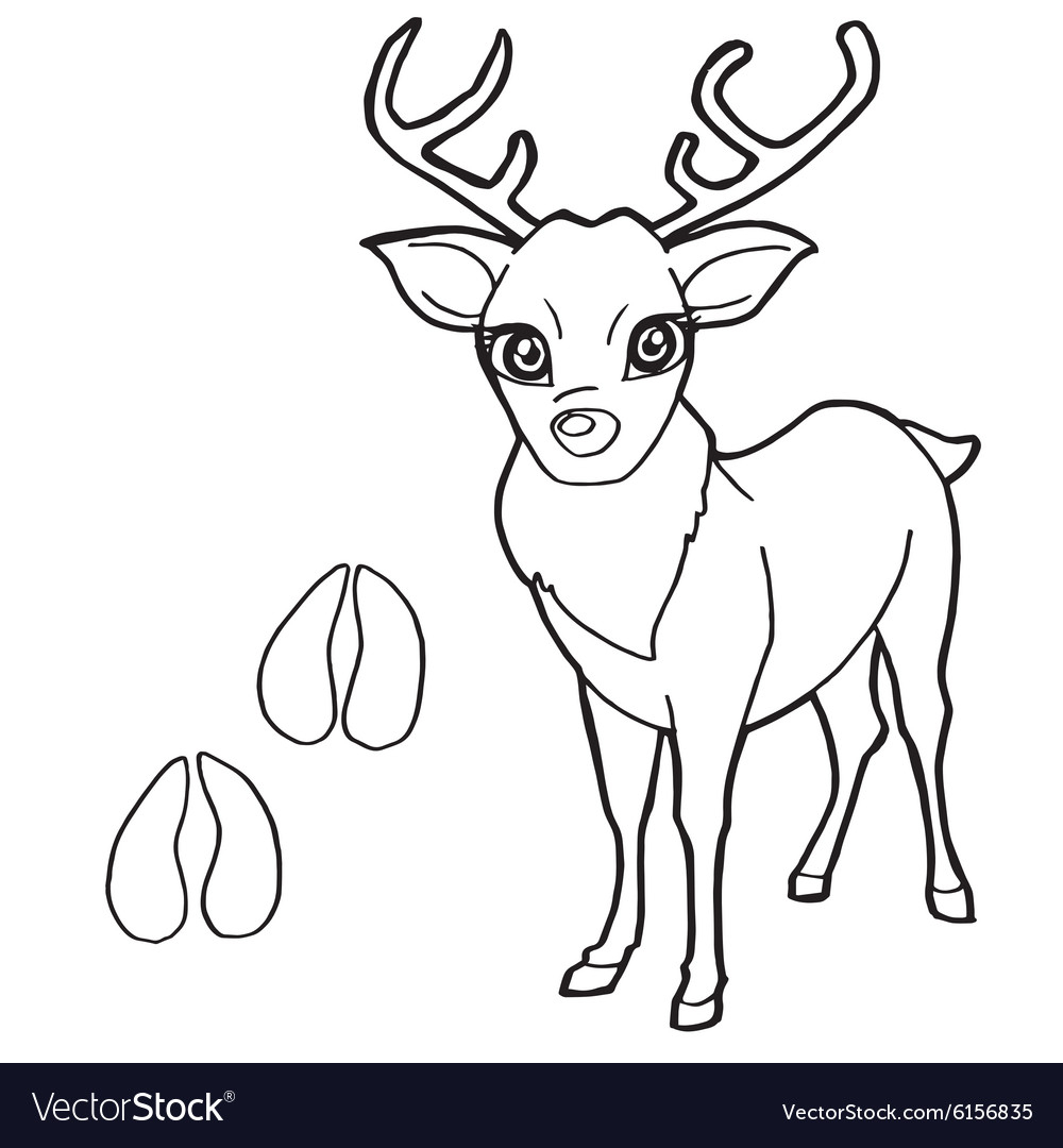 Deer Coloring Pages Paw Print With Deer Coloring Pages