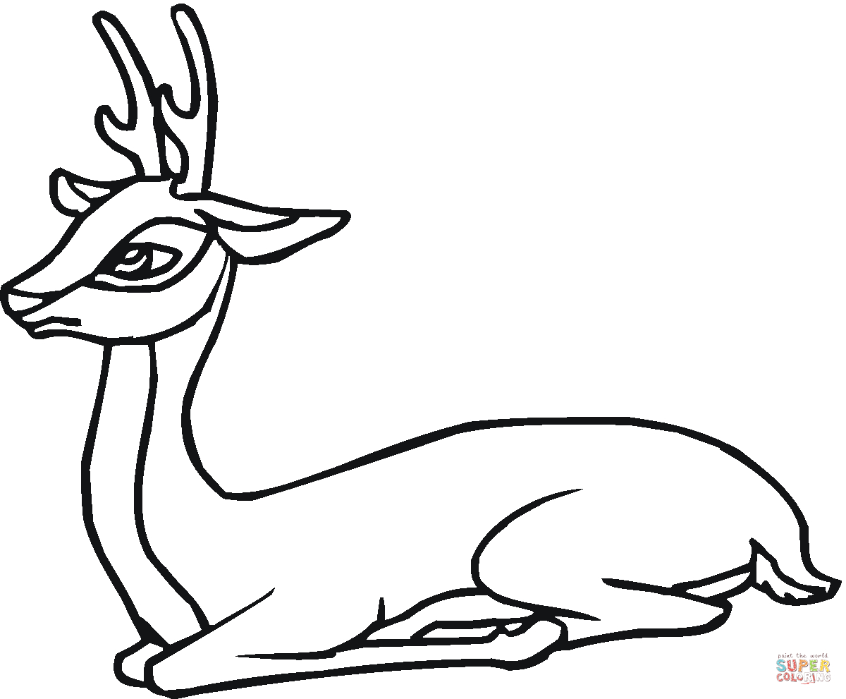 Deer Coloring Pages Roe Deer Coloring Page Free Printable Coloring Pages