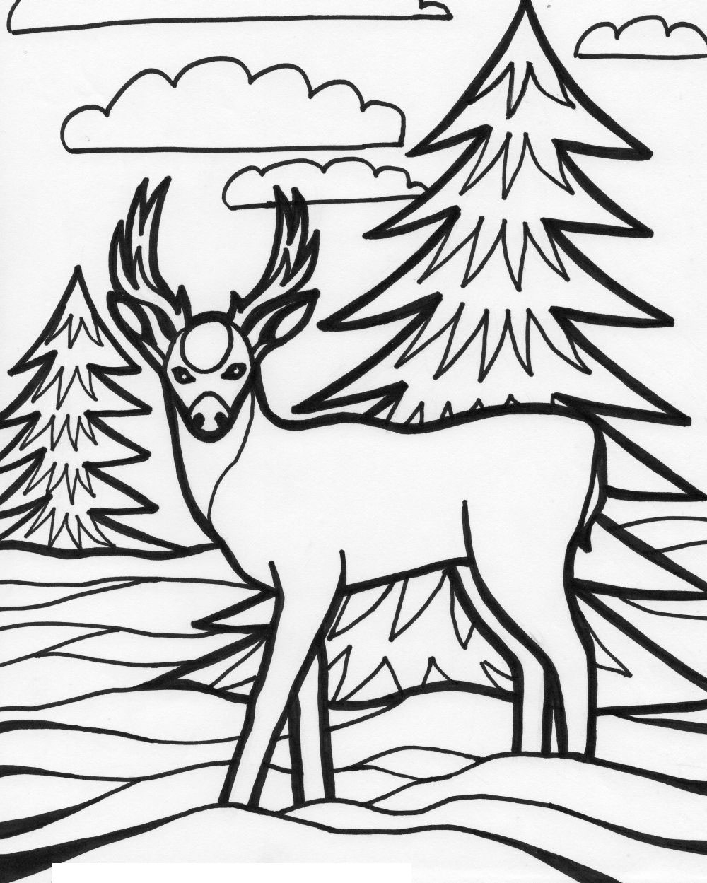 Deer Coloring Pages Wild Deer Coloring Pages